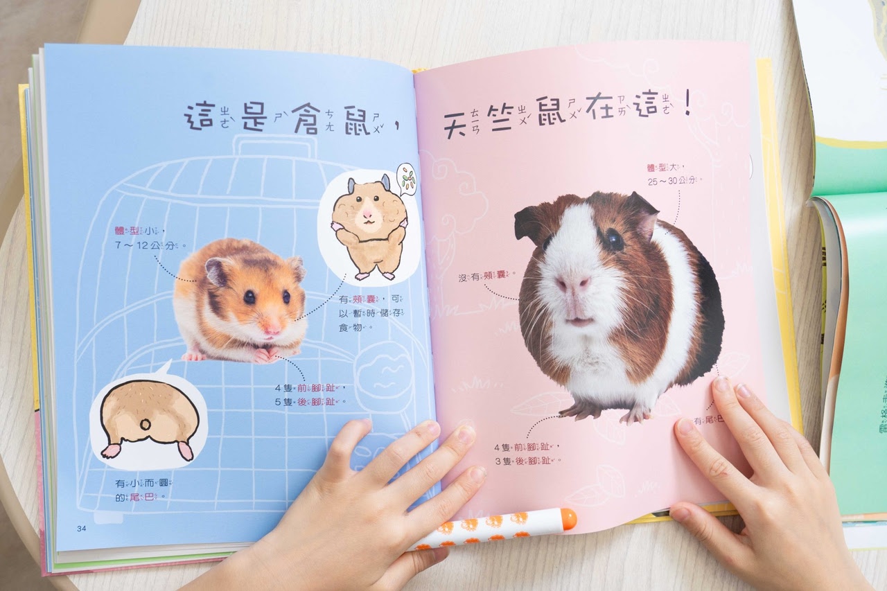 【小康軒|3-8歲兒童篇|財商桌遊。時間與錢包。幼小銜接教材。識寫圖卡。解謎遊戲書。程式車】 【小康軒|3-8歲兒童篇|財商桌遊。時間與錢包。幼小銜接教材。識寫圖卡。解謎遊戲書。程式車】