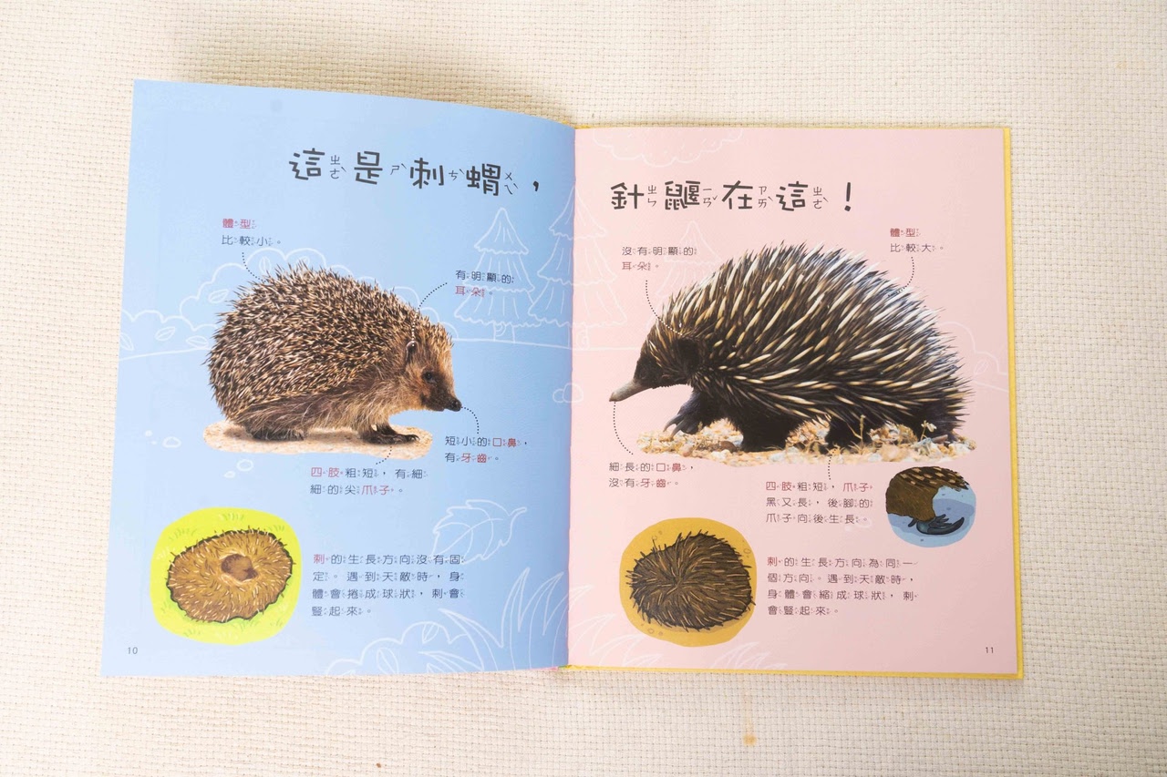 【小康軒|3-8歲兒童篇|財商桌遊。時間與錢包。幼小銜接教材。識寫圖卡。解謎遊戲書。程式車】 【小康軒|3-8歲兒童篇|財商桌遊。時間與錢包。幼小銜接教材。識寫圖卡。解謎遊戲書。程式車】