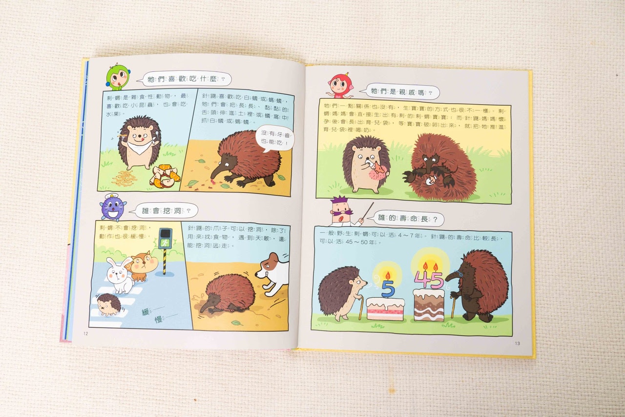 【小康軒|3-8歲兒童篇|財商桌遊。時間與錢包。幼小銜接教材。識寫圖卡。解謎遊戲書。程式車】 【小康軒|3-8歲兒童篇|財商桌遊。時間與錢包。幼小銜接教材。識寫圖卡。解謎遊戲書。程式車】