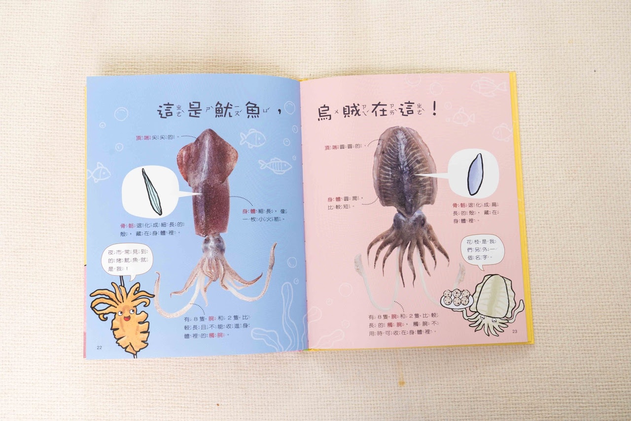 【小康軒|3-8歲兒童篇|財商桌遊。時間與錢包。幼小銜接教材。識寫圖卡。解謎遊戲書。程式車】 【小康軒|3-8歲兒童篇|財商桌遊。時間與錢包。幼小銜接教材。識寫圖卡。解謎遊戲書。程式車】