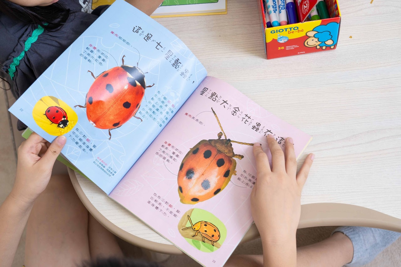 【小康軒|3-8歲兒童篇|財商桌遊。時間與錢包。幼小銜接教材。識寫圖卡。解謎遊戲書。程式車】 【小康軒|3-8歲兒童篇|財商桌遊。時間與錢包。幼小銜接教材。識寫圖卡。解謎遊戲書。程式車】