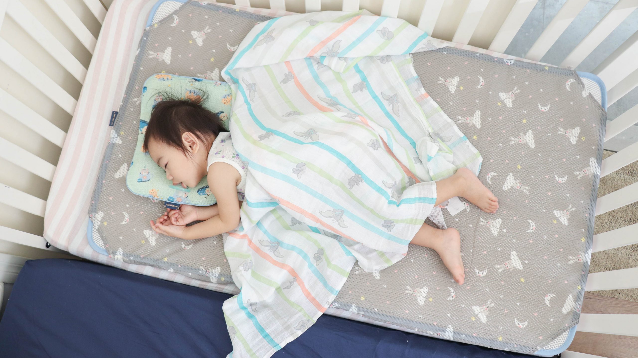 【為什麼 韓國GIO涼爽座墊。有機棉床墊。頭型枕，在悶熱夏日總是大熱賣？】
