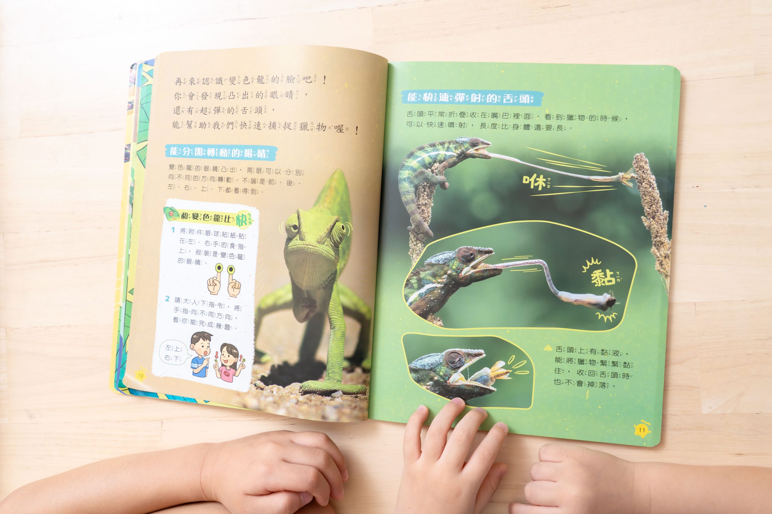 【康軒學習雜誌。故事繪本。科普繪本】週年慶大禮+ 茜茜獨家禮!明年2026即將漲價! 【康軒學習雜誌。故事繪本。科普繪本】週年慶大禮+ 茜茜獨家禮!明年2026即將漲價!