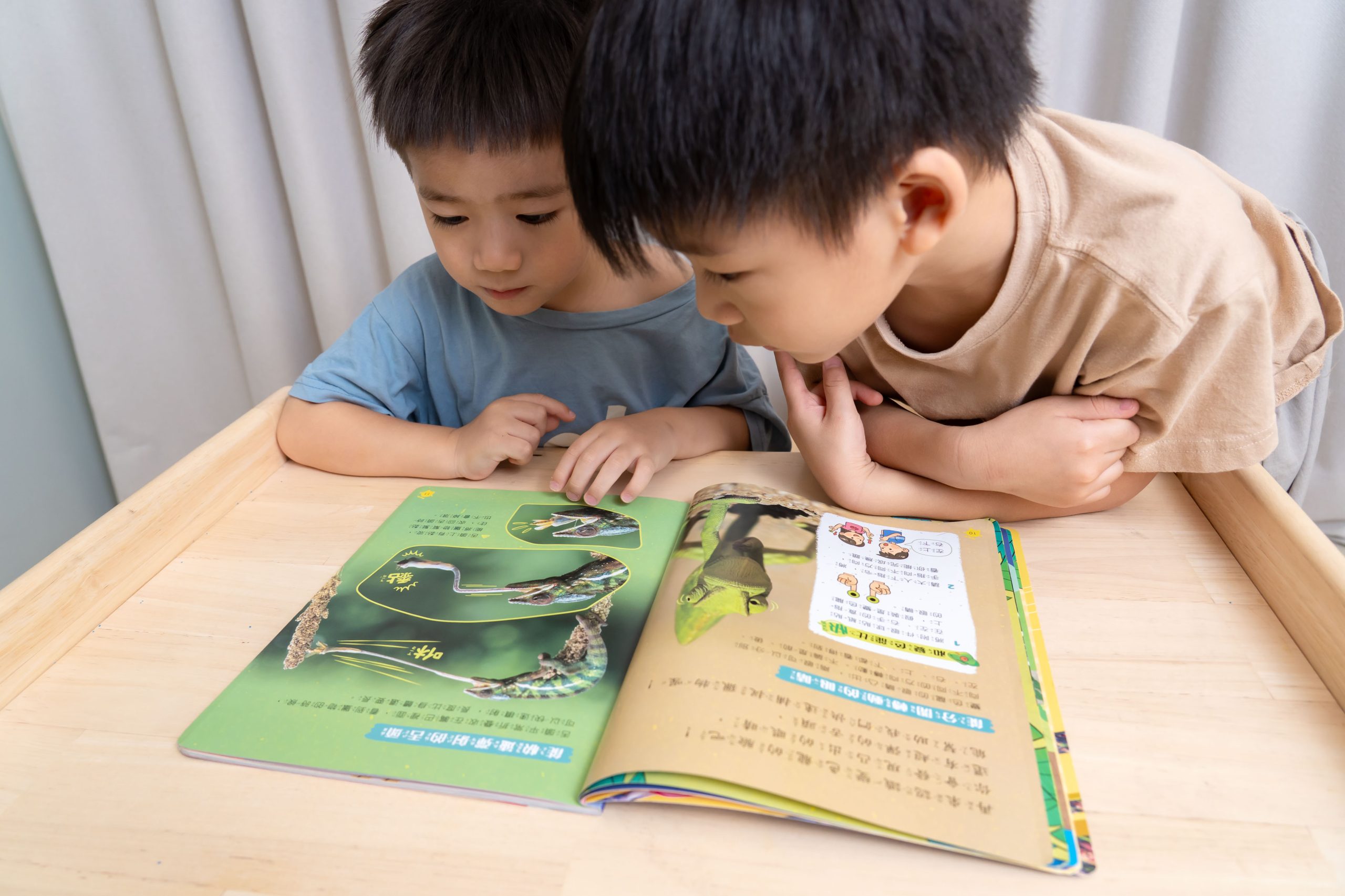 【康軒學習雜誌。故事繪本。科普繪本】週年慶大禮+ 茜茜獨家禮!明年2026即將漲價! 【康軒學習雜誌。故事繪本。科普繪本】週年慶大禮+ 茜茜獨家禮!明年2026即將漲價!