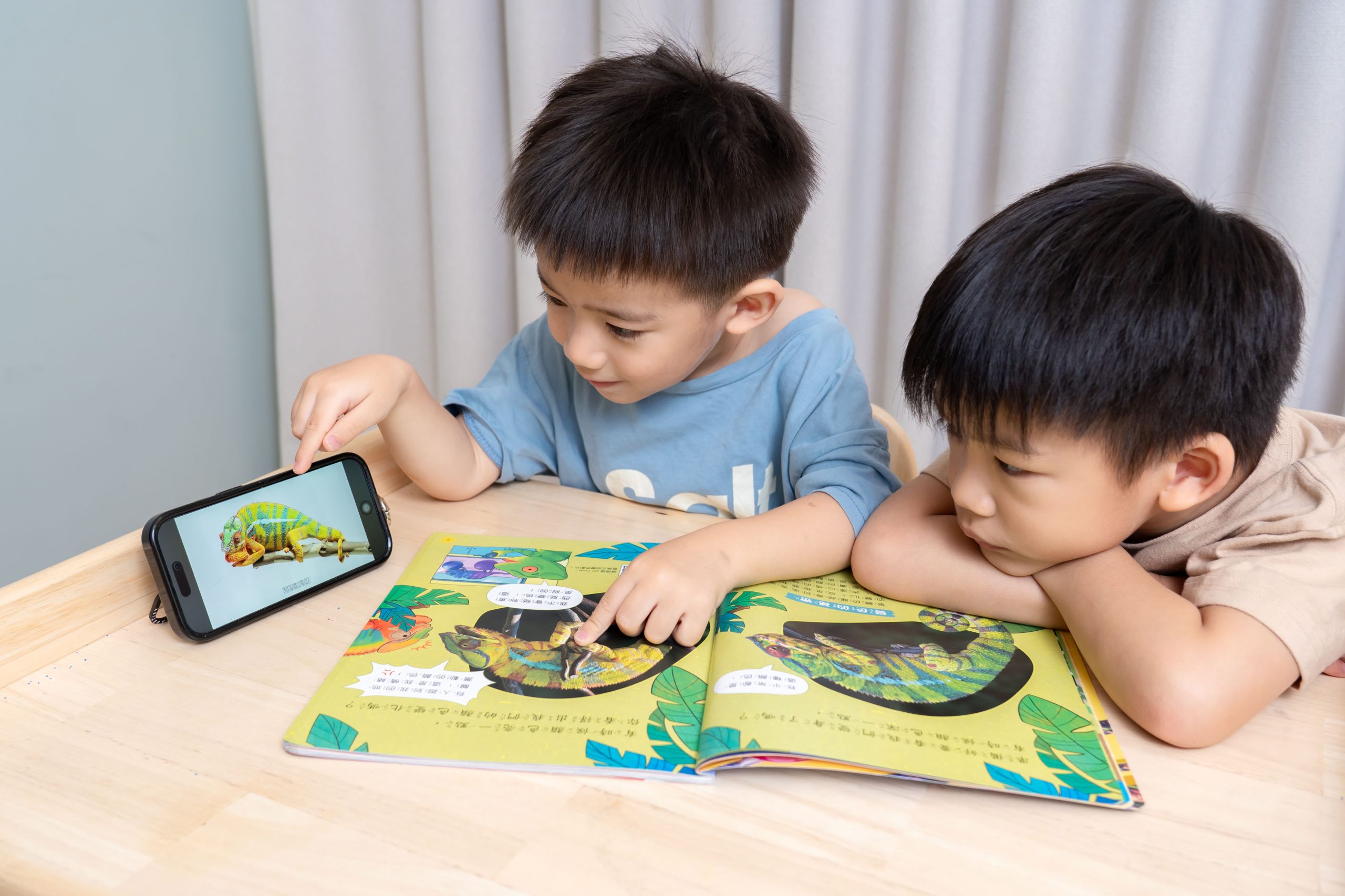 【康軒學習雜誌。故事繪本。科普繪本】週年慶大禮+ 茜茜獨家禮!明年2026即將漲價! 【康軒學習雜誌。故事繪本。科普繪本】週年慶大禮+ 茜茜獨家禮!明年2026即將漲價!