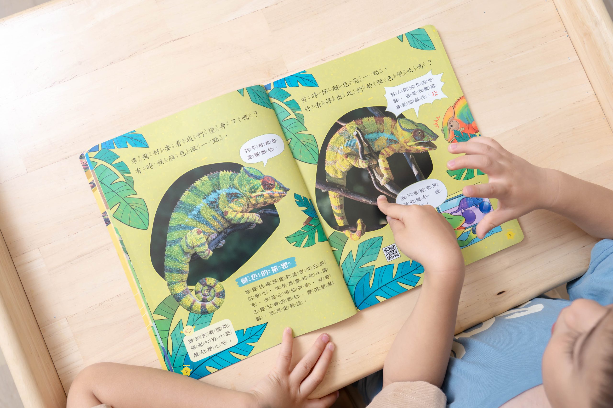 【康軒學習雜誌。故事繪本。科普繪本】週年慶大禮+ 茜茜獨家禮!明年2026即將漲價! 【康軒學習雜誌。故事繪本。科普繪本】週年慶大禮+ 茜茜獨家禮!明年2026即將漲價!