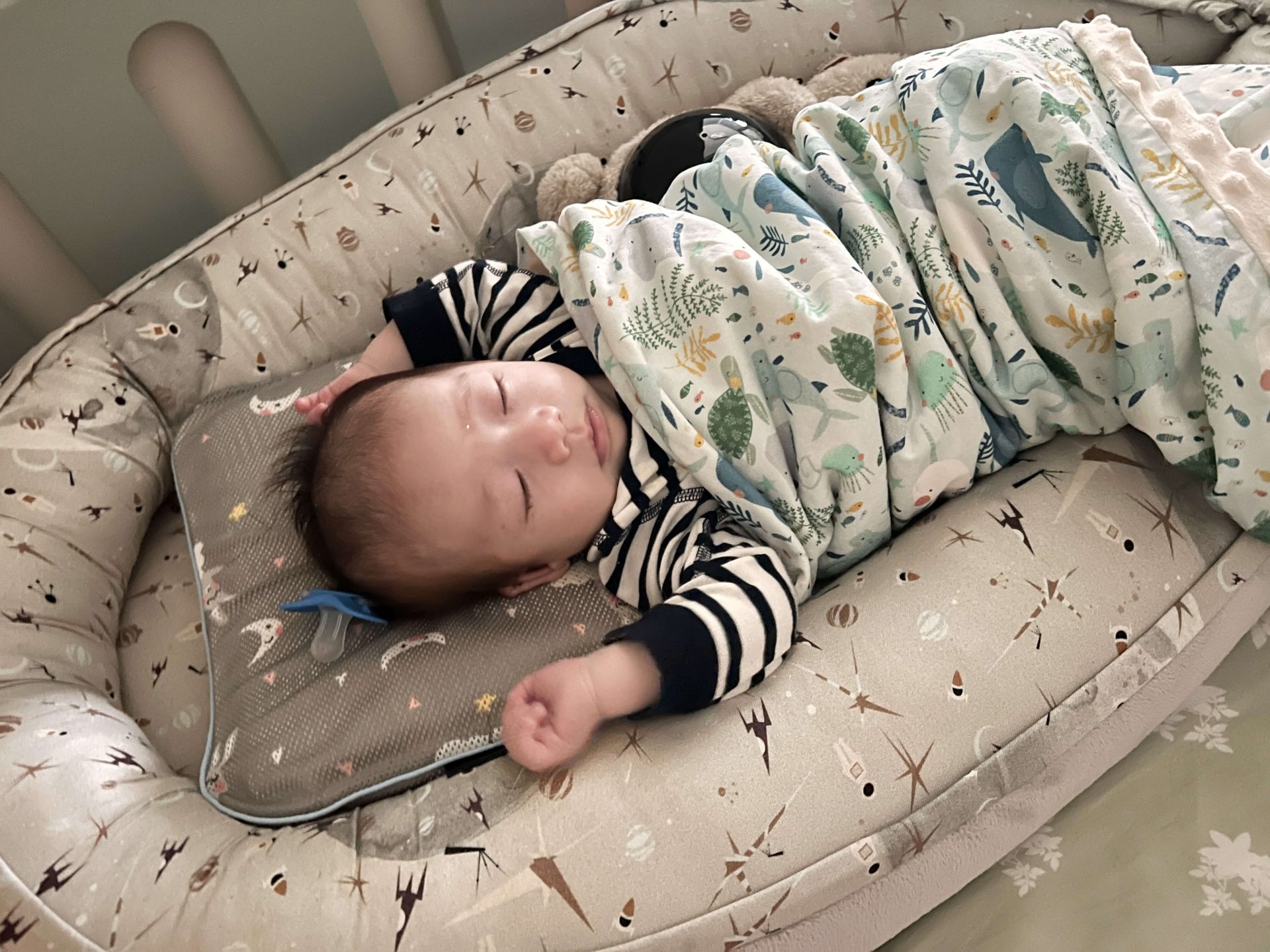 【寶寶好好眠｜波蘭Maylily 竹纖維柔雲睡窩。暖毯。萬用巾。寶貝枕。推車墊｜Yookidoo折疊健力架】