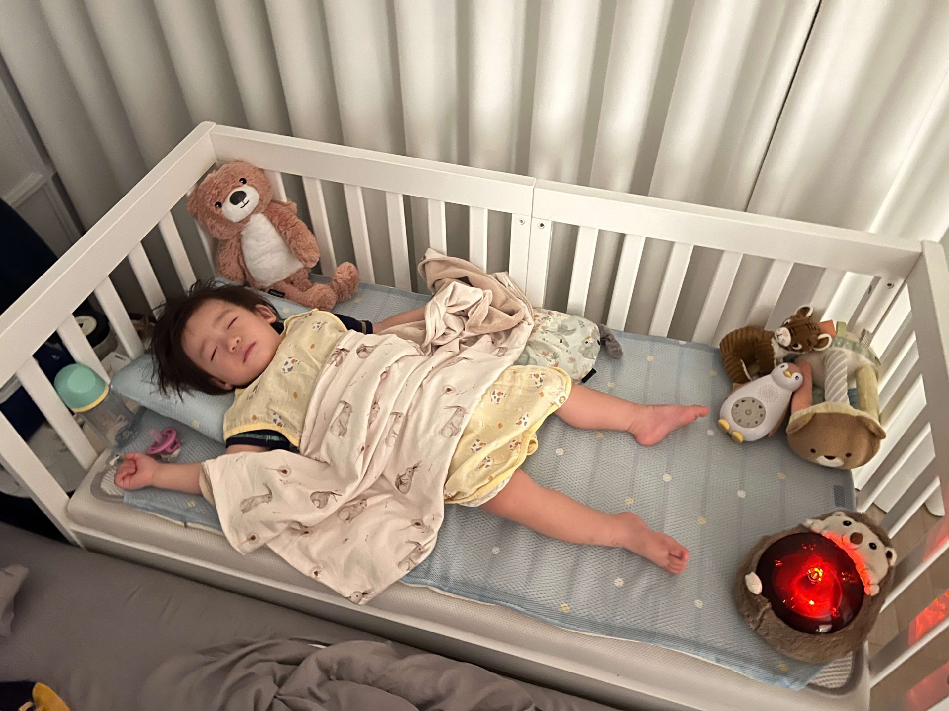 【寶寶睡過夜好朋友 | 荷蘭ZAZU音樂安撫玩偶。強鵝。噓寶。好眠夜燈。海洋療癒】
