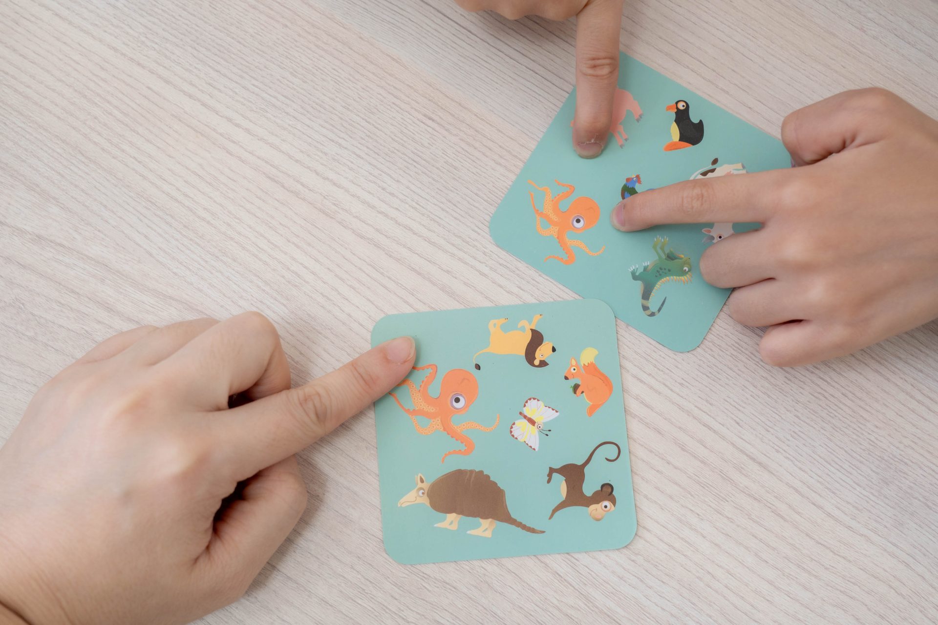 簡單玩出未來競爭力【比利時Scratch 創新益智童玩｜釣魚。桌遊。邏輯。拼圖】