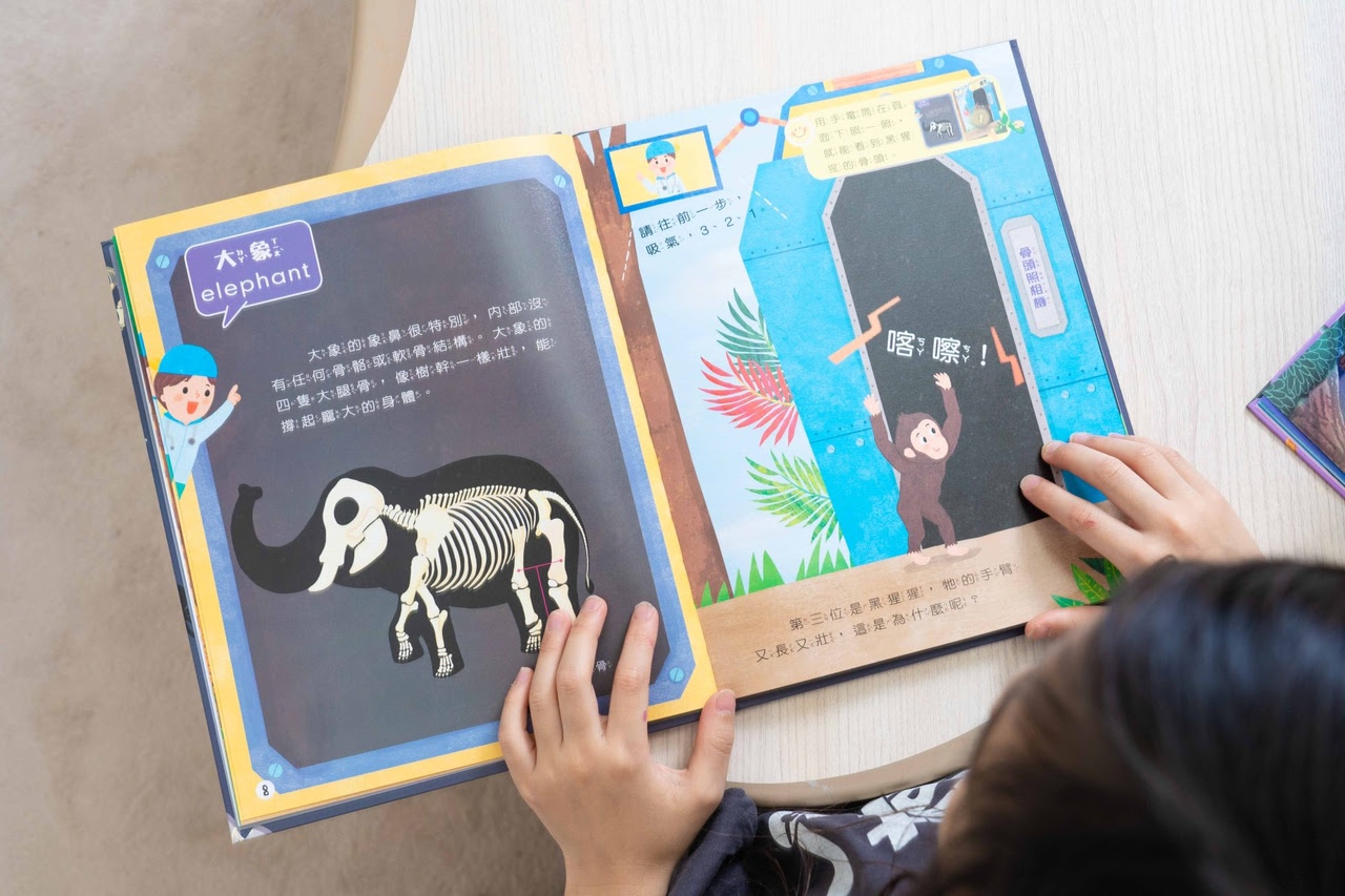 【小康軒｜2-4歲幼童篇｜SMART BOX遊戲盒。邏輯推理。合作型桌遊。成長繪本】