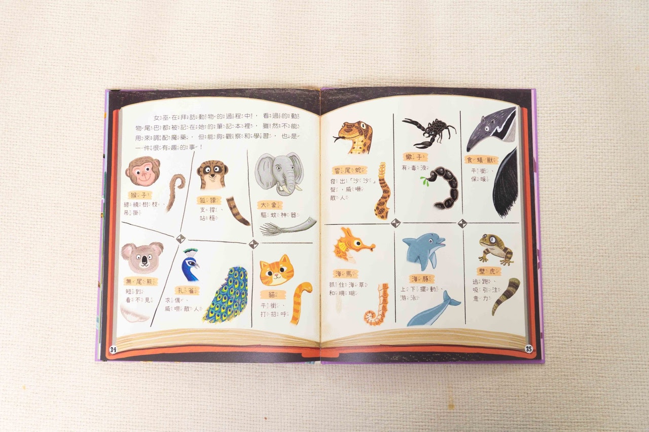 【小康軒｜2-4歲幼童篇｜SMART BOX遊戲盒。邏輯推理。合作型桌遊。成長繪本】