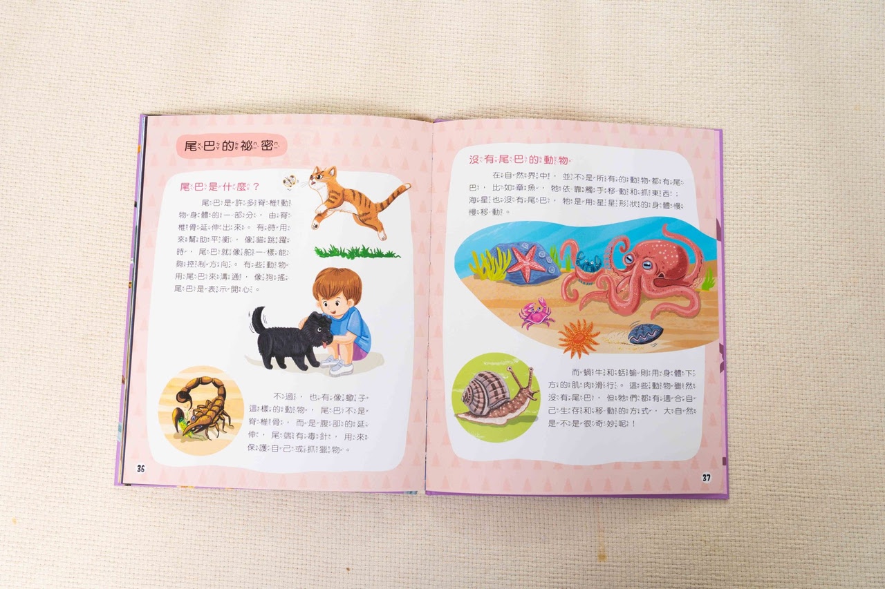 【小康軒｜2-4歲幼童篇｜SMART BOX遊戲盒。邏輯推理。合作型桌遊。成長繪本】