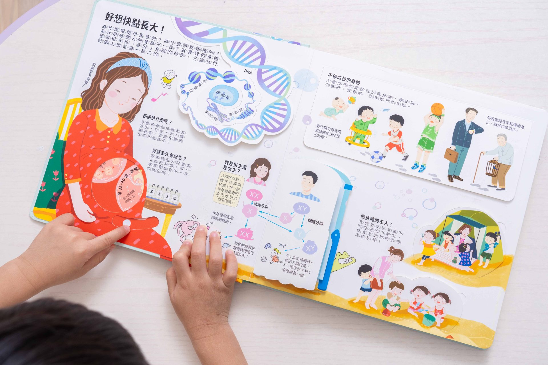禾流文創童書團購【茜茜推薦|2-4歲+ 幼童探索篇(上)|自然。知識。思考】2025上半年度最大團。獨家新 禾流文創童書團購【茜茜推薦|2-4歲+ 幼童探索篇(上)|自然。知識。思考】2025上半年度最大團。獨家新