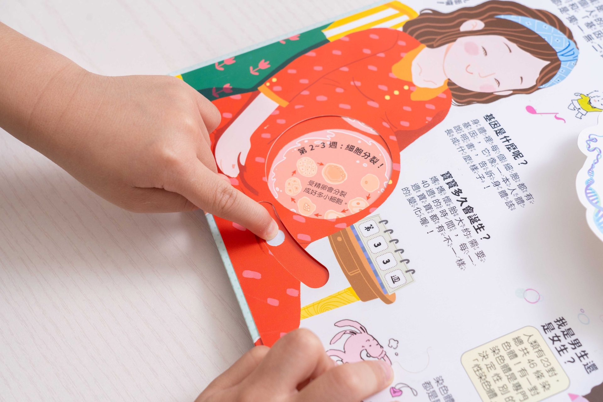 禾流文創童書團購【茜茜推薦|2-4歲+ 幼童探索篇(上)|自然。知識。思考】2025上半年度最大團。獨家新 禾流文創童書團購【茜茜推薦|2-4歲+ 幼童探索篇(上)|自然。知識。思考】2025上半年度最大團。獨家新