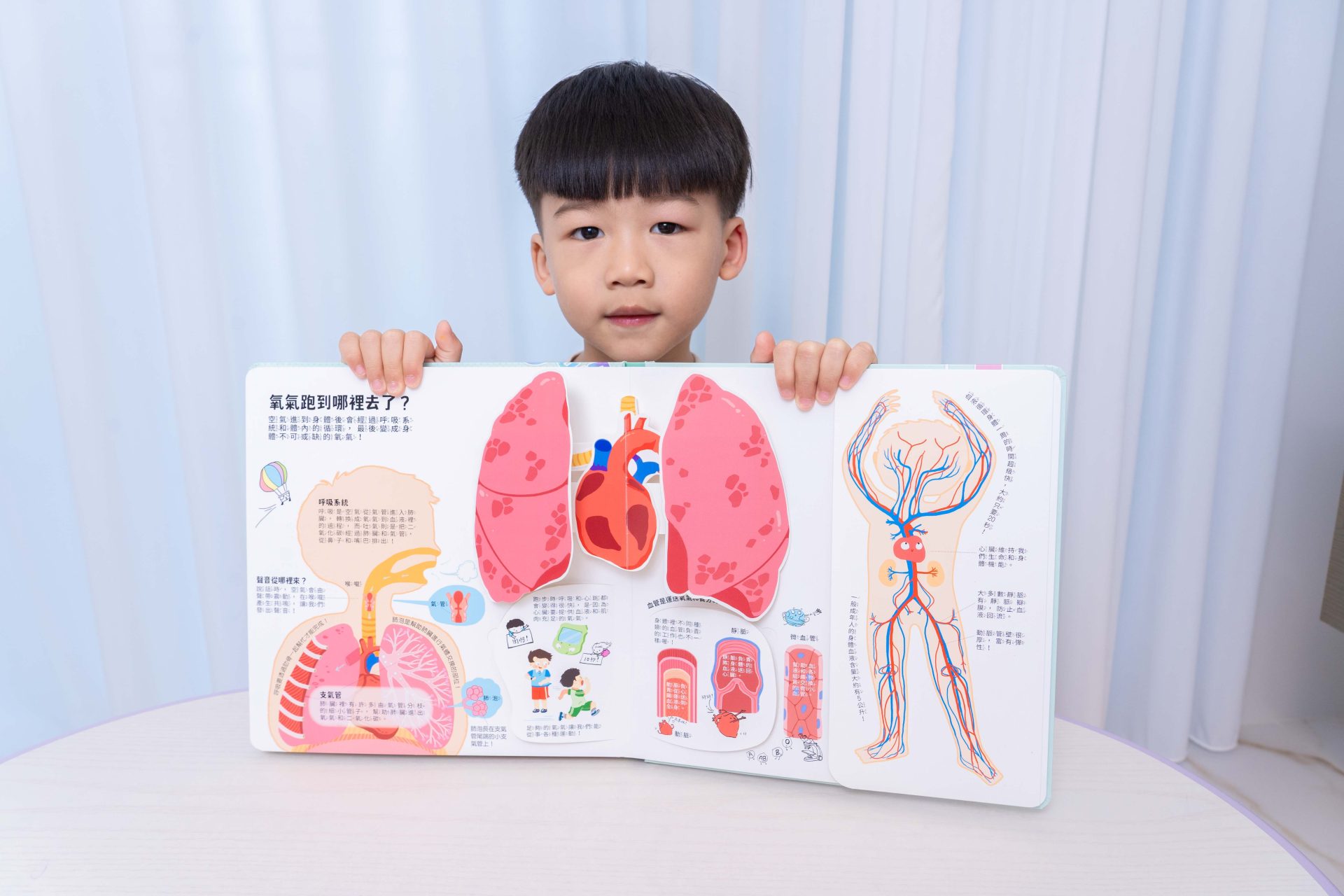 禾流文創童書團購【茜茜推薦|2-4歲+ 幼童探索篇(上)|自然。知識。思考】2025上半年度最大團。獨家新 禾流文創童書團購【茜茜推薦|2-4歲+ 幼童探索篇(上)|自然。知識。思考】2025上半年度最大團。獨家新