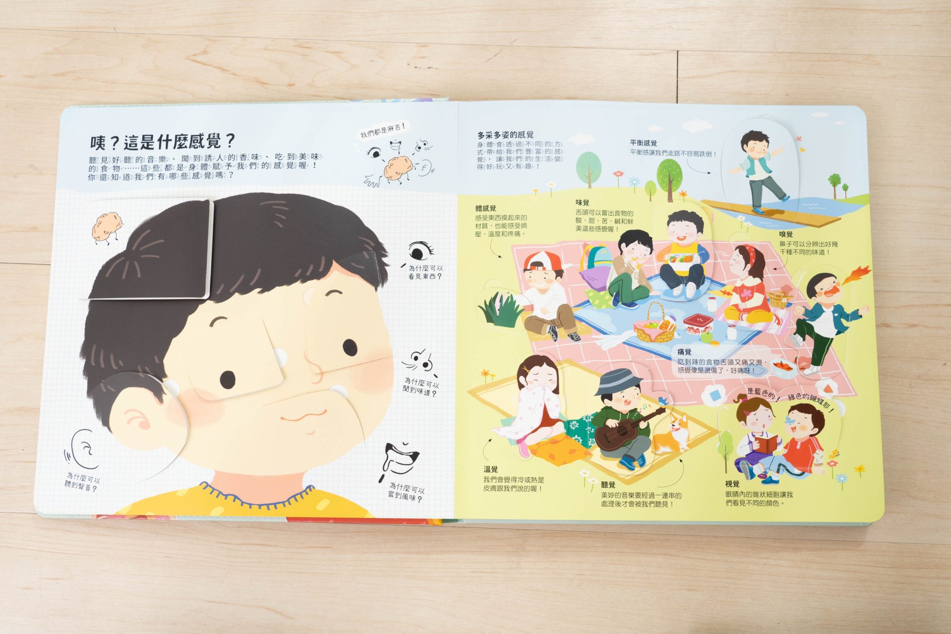 禾流文創童書團購【茜茜推薦|2-4歲+ 幼童探索篇(上)|自然。知識。思考】2025上半年度最大團。獨家新 禾流文創童書團購【茜茜推薦|2-4歲+ 幼童探索篇(上)|自然。知識。思考】2025上半年度最大團。獨家新