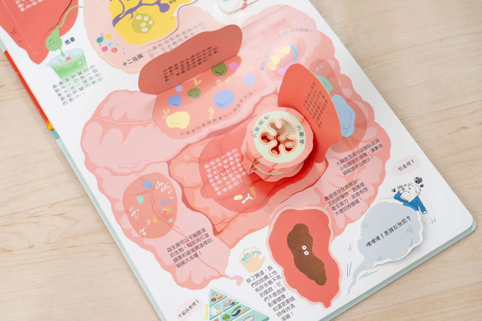 禾流文創童書團購【茜茜推薦|2-4歲+ 幼童探索篇(上)|自然。知識。思考】2025上半年度最大團。獨家新 禾流文創童書團購【茜茜推薦|2-4歲+ 幼童探索篇(上)|自然。知識。思考】2025上半年度最大團。獨家新