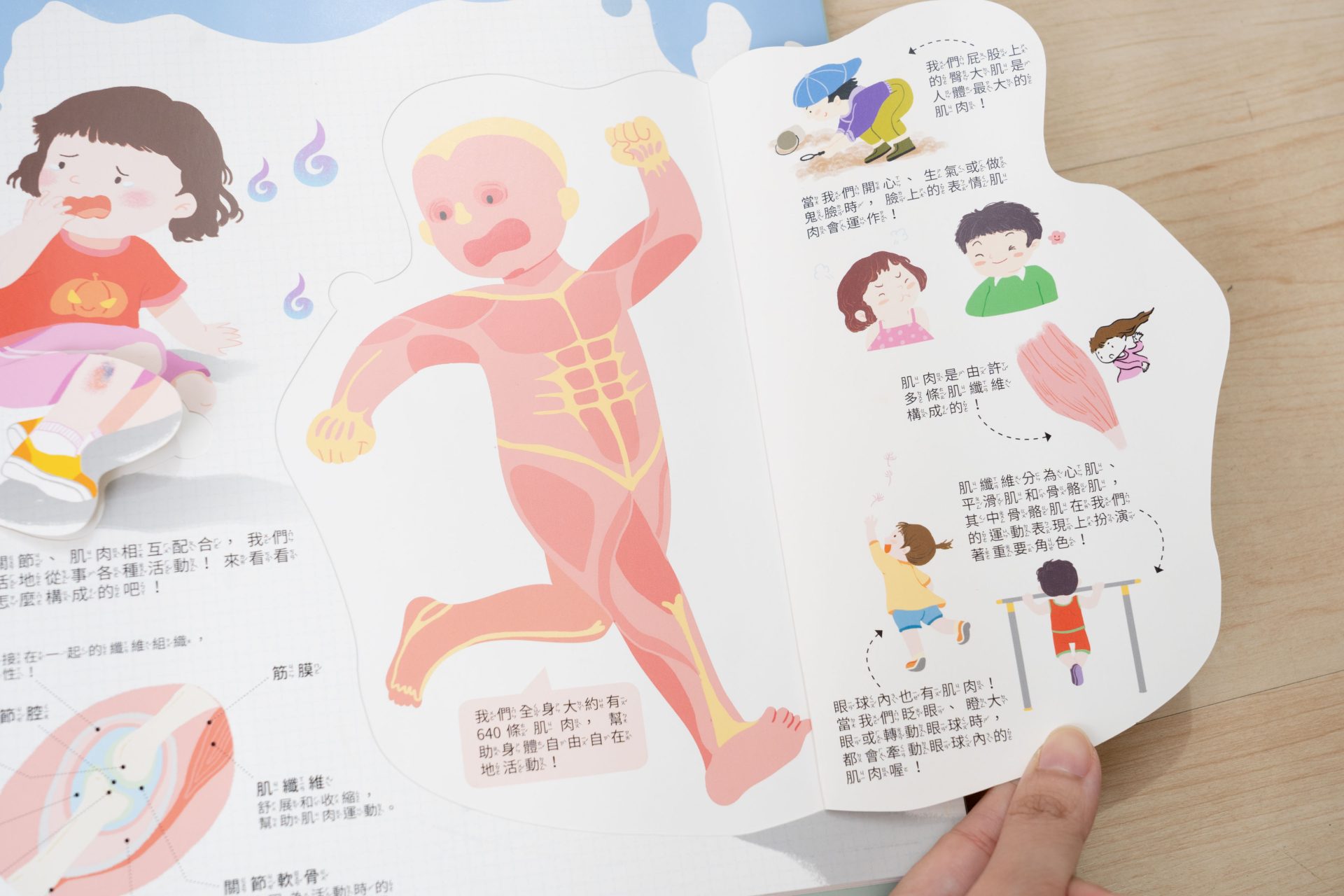 禾流文創童書團購【茜茜推薦|2-4歲+ 幼童探索篇(上)|自然。知識。思考】2025上半年度最大團。獨家新 禾流文創童書團購【茜茜推薦|2-4歲+ 幼童探索篇(上)|自然。知識。思考】2025上半年度最大團。獨家新