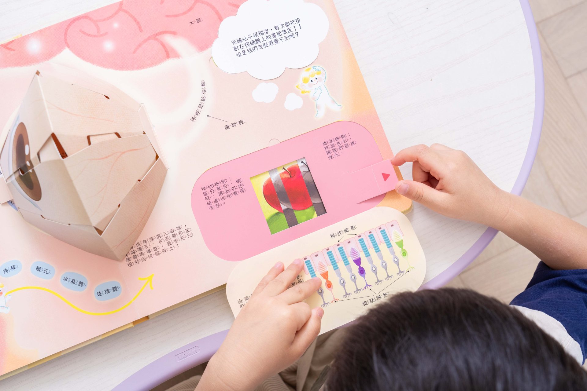 禾流文創童書團購【茜茜推薦|2-4歲+ 幼童探索篇(上)|自然。知識。思考】2025上半年度最大團。獨家新 禾流文創童書團購【茜茜推薦|2-4歲+ 幼童探索篇(上)|自然。知識。思考】2025上半年度最大團。獨家新