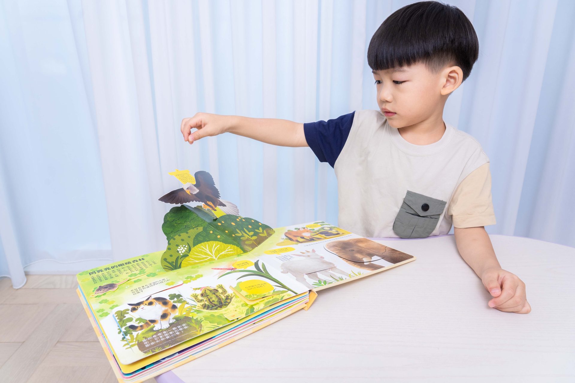 禾流文創童書團購【茜茜推薦|2-4歲+ 幼童探索篇(上)|自然。知識。思考】2025上半年度最大團。獨家新 禾流文創童書團購【茜茜推薦|2-4歲+ 幼童探索篇(上)|自然。知識。思考】2025上半年度最大團。獨家新