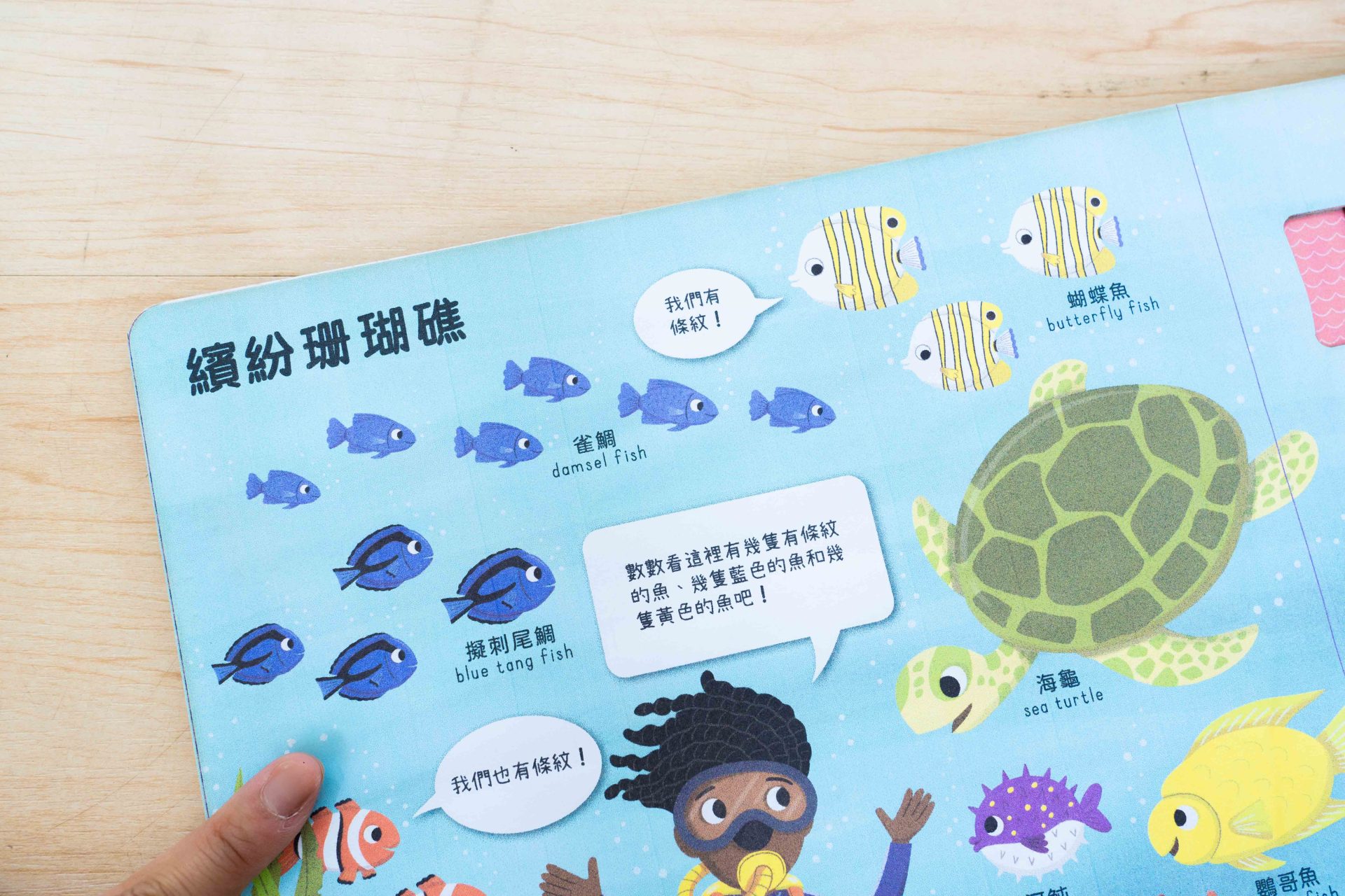 禾流文創童書團購【茜茜推薦|0-2歲+ 幼兒六感篇(下) 視覺、味覺、動覺】2025上半年度最大團。獨家新品。內有音樂書試聽影片 禾流文創童書團購【茜茜推薦|0-2歲+ 幼兒六感篇(下) 視覺、味覺、動覺】2025上半年度最大團。獨家新品。內有音樂書試聽影片