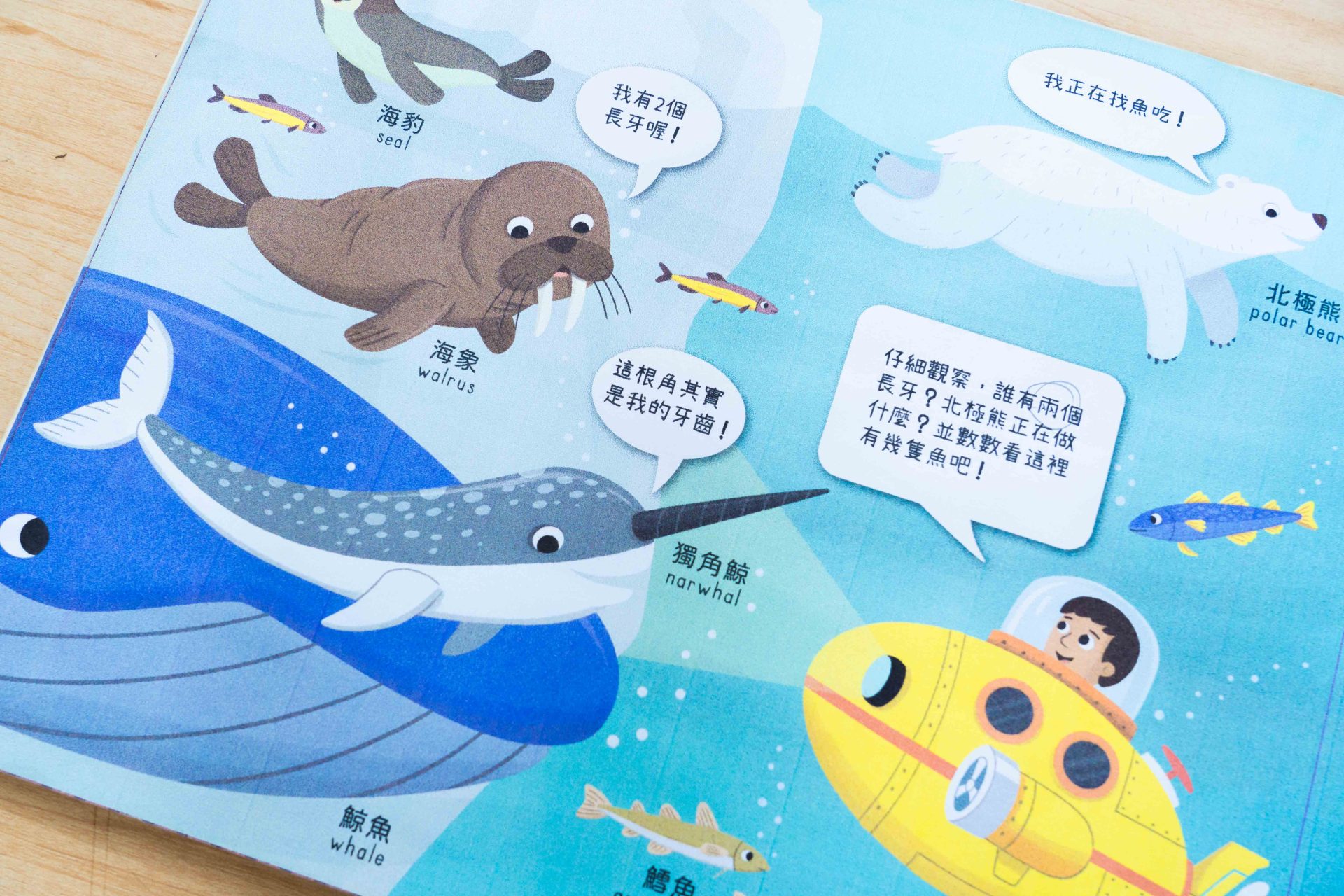 禾流文創童書團購【茜茜推薦|0-2歲+ 幼兒六感篇(下) 視覺、味覺、動覺】2025上半年度最大團。獨家新品。內有音樂書試聽影片 禾流文創童書團購【茜茜推薦|0-2歲+ 幼兒六感篇(下) 視覺、味覺、動覺】2025上半年度最大團。獨家新品。內有音樂書試聽影片