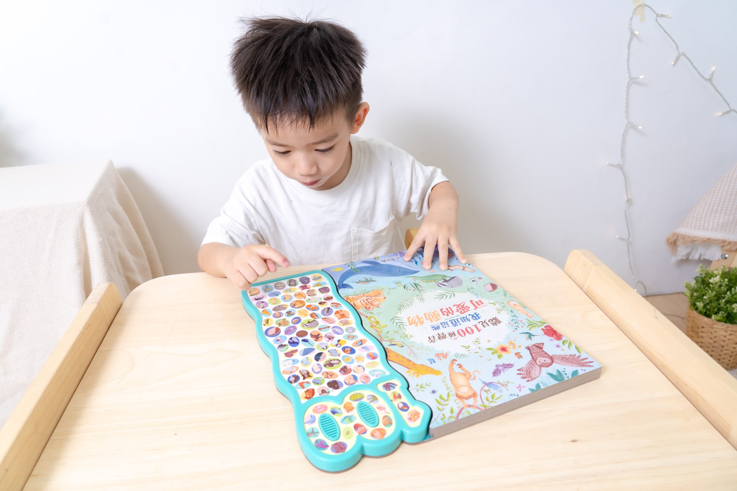 禾流文創童書團購【茜茜推薦|0-2歲+ 幼兒六感篇(上) 觸覺、聽覺、心覺】2025下半年度最大團。內有音樂書試聽影片 禾流文創童書團購【茜茜推薦|0-2歲+ 幼兒六感篇(上) 觸覺、聽覺、心覺】2025下半年度最大團。內有音樂書試聽影片