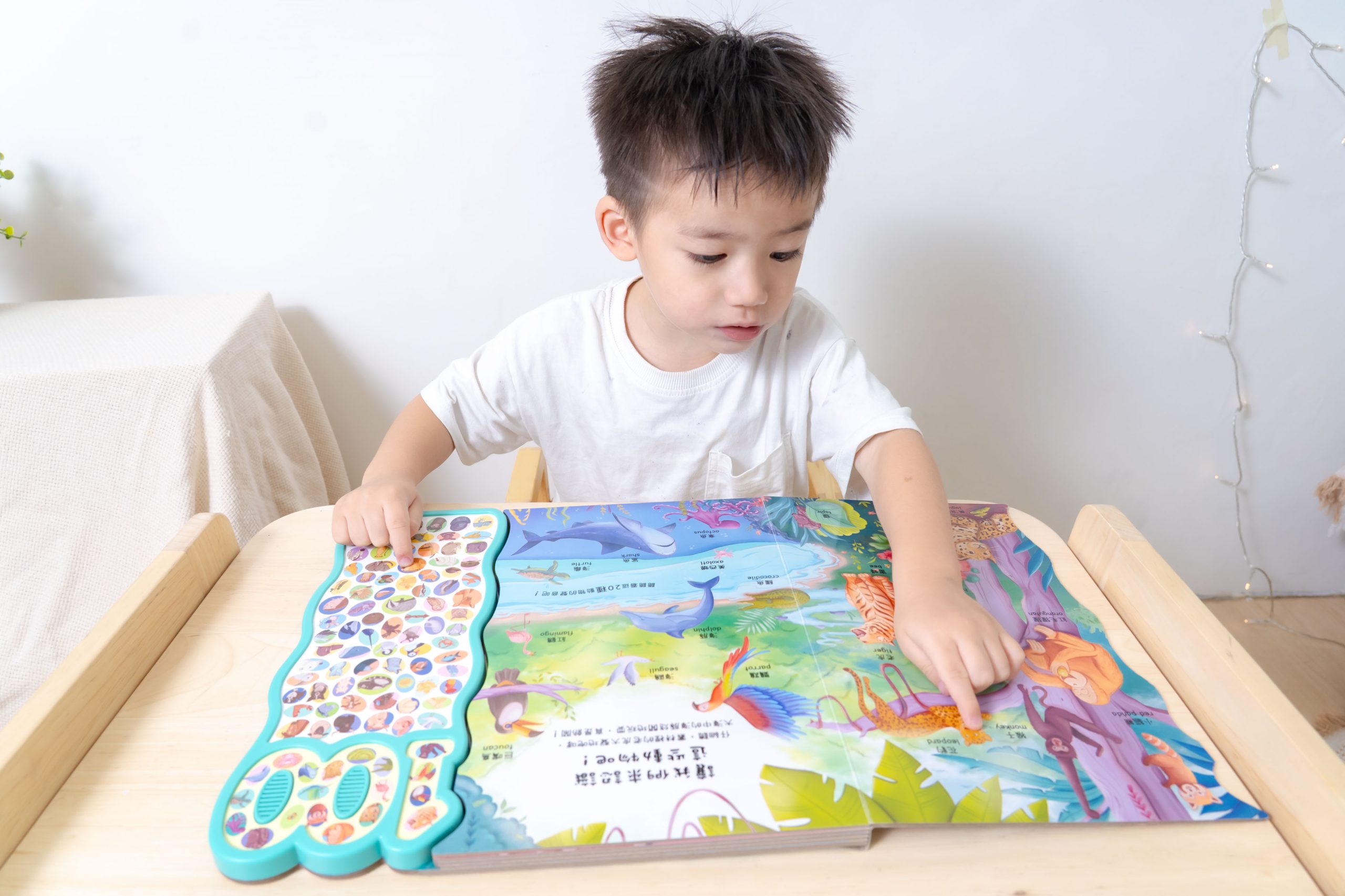禾流文創童書團購【茜茜推薦|0-2歲+ 幼兒六感篇(上) 觸覺、聽覺、心覺】2025下半年度最大團。內有音樂書試聽影片 禾流文創童書團購【茜茜推薦|0-2歲+ 幼兒六感篇(上) 觸覺、聽覺、心覺】2025下半年度最大團。內有音樂書試聽影片