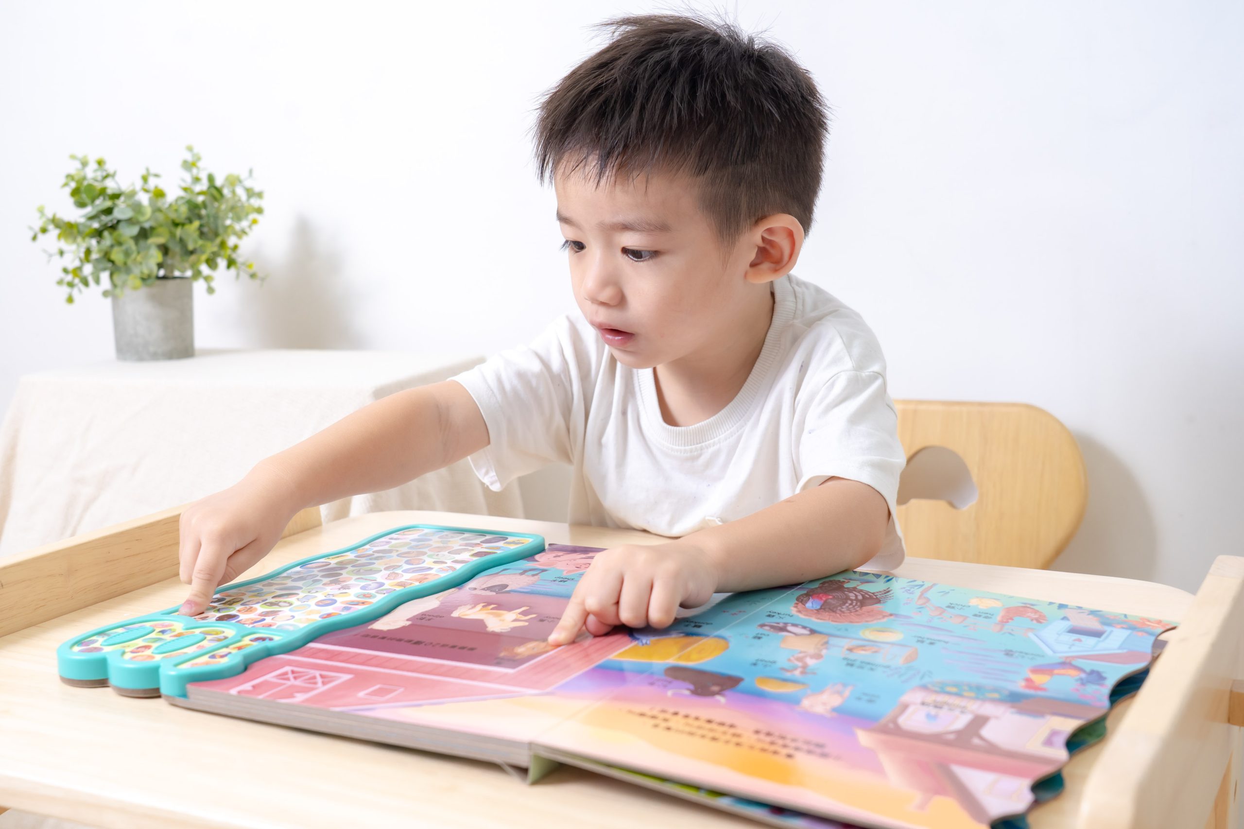 禾流文創童書團購【茜茜推薦|0-2歲+ 幼兒六感篇(上) 觸覺、聽覺、心覺】2025下半年度最大團。內有音樂書試聽影片 禾流文創童書團購【茜茜推薦|0-2歲+ 幼兒六感篇(上) 觸覺、聽覺、心覺】2025下半年度最大團。內有音樂書試聽影片