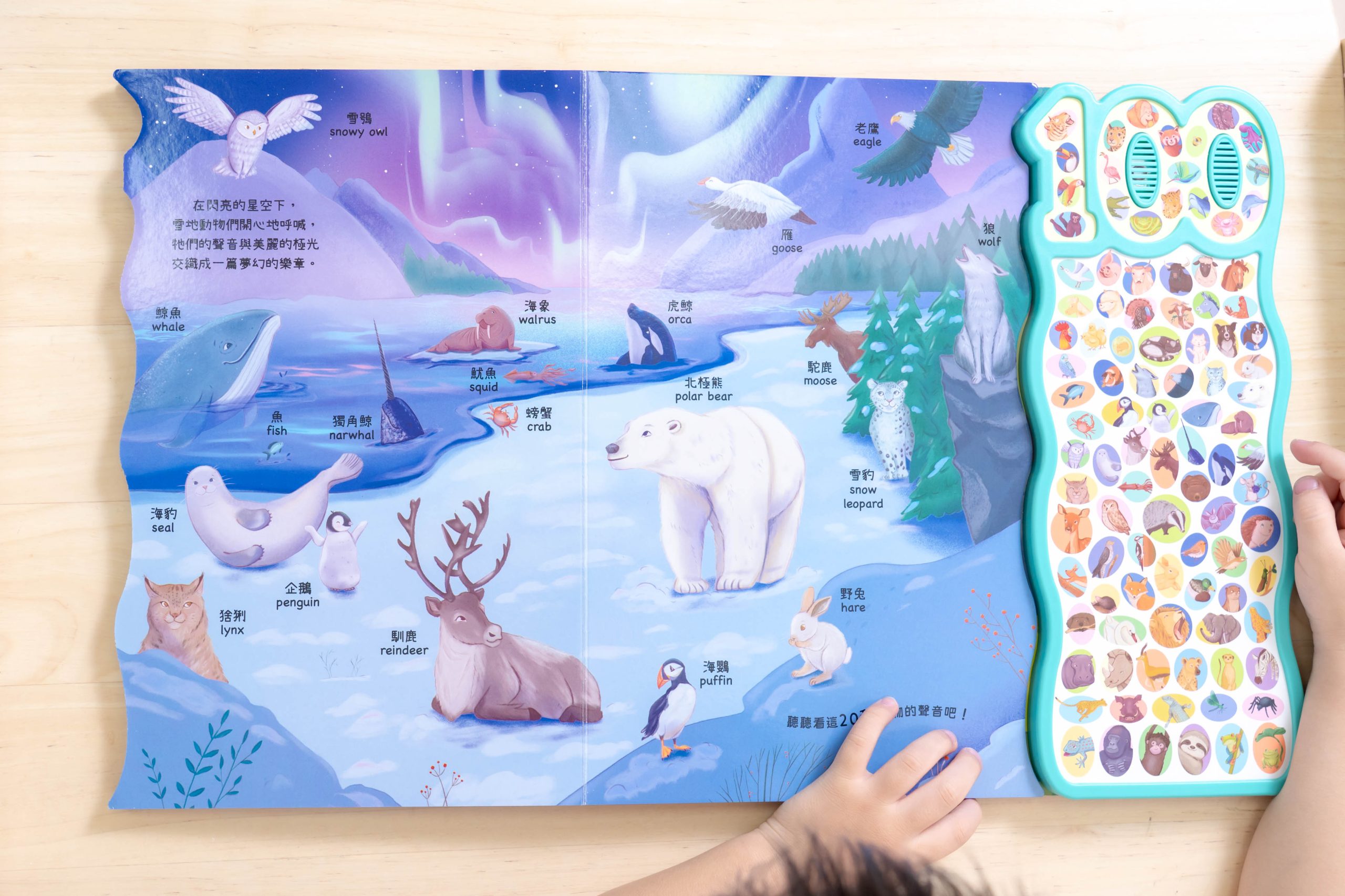 禾流文創童書團購【茜茜推薦|0-2歲+ 幼兒六感篇(上) 觸覺、聽覺、心覺】2025下半年度最大團。內有音樂書試聽影片 禾流文創童書團購【茜茜推薦|0-2歲+ 幼兒六感篇(上) 觸覺、聽覺、心覺】2025下半年度最大團。內有音樂書試聽影片