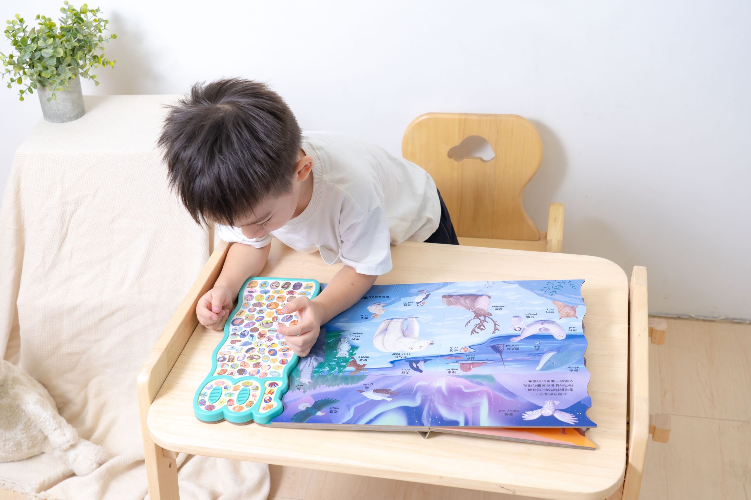 禾流文創童書團購【茜茜推薦|0-2歲+ 幼兒六感篇(上) 觸覺、聽覺、心覺】2025下半年度最大團。內有音樂書試聽影片 禾流文創童書團購【茜茜推薦|0-2歲+ 幼兒六感篇(上) 觸覺、聽覺、心覺】2025下半年度最大團。內有音樂書試聽影片