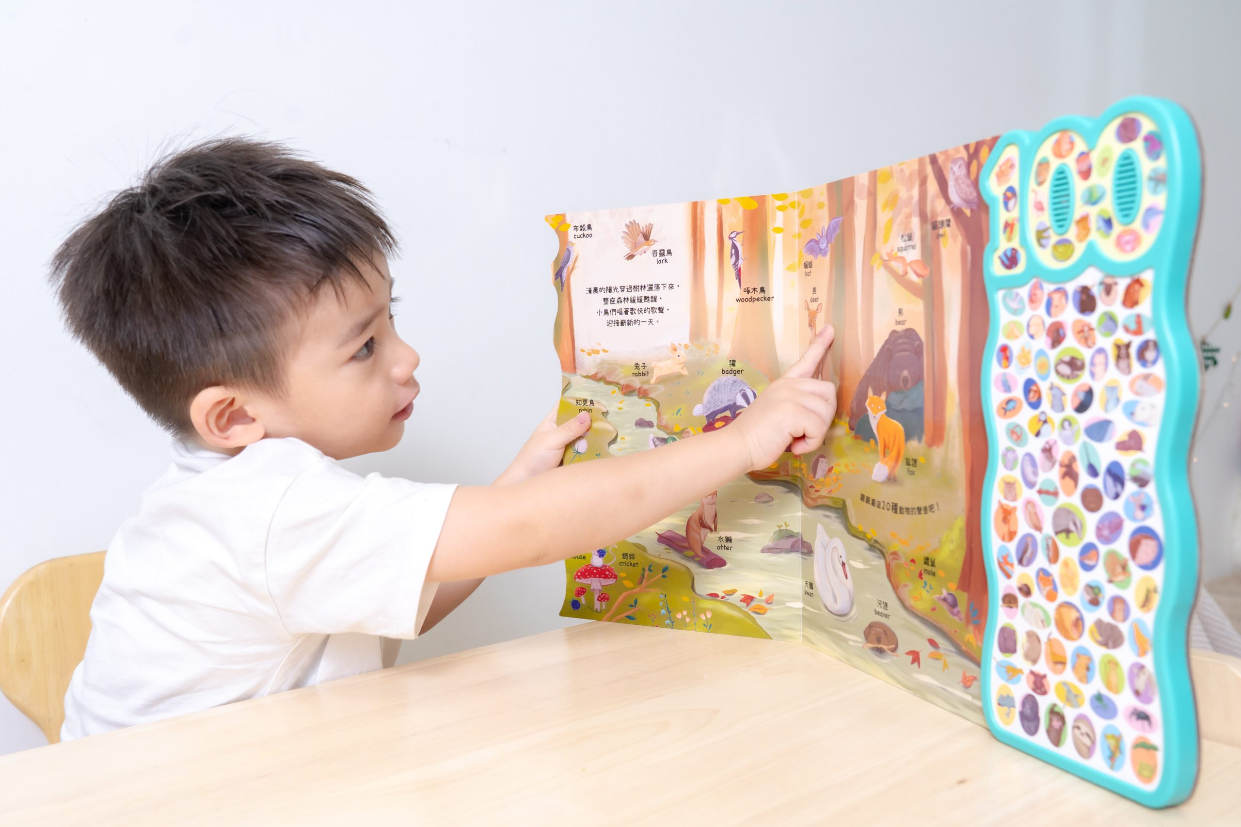 禾流文創童書團購【茜茜推薦|0-2歲+ 幼兒六感篇(上) 觸覺、聽覺、心覺】2025下半年度最大團。內有音樂書試聽影片 禾流文創童書團購【茜茜推薦|0-2歲+ 幼兒六感篇(上) 觸覺、聽覺、心覺】2025下半年度最大團。內有音樂書試聽影片