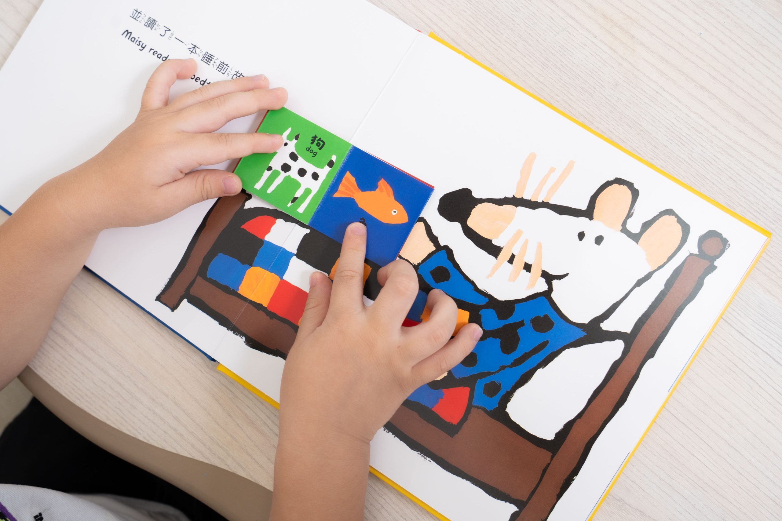 禾流文創童書團購【茜茜推薦|2-6歲+ 幼童探索篇(下)|情緒。生活。自主】2025下半年度最大團。獨家新品 禾流文創童書團購【茜茜推薦|2-6歲+ 幼童探索篇(下)|情緒。生活。自主】2025下半年度最大團。獨家新品