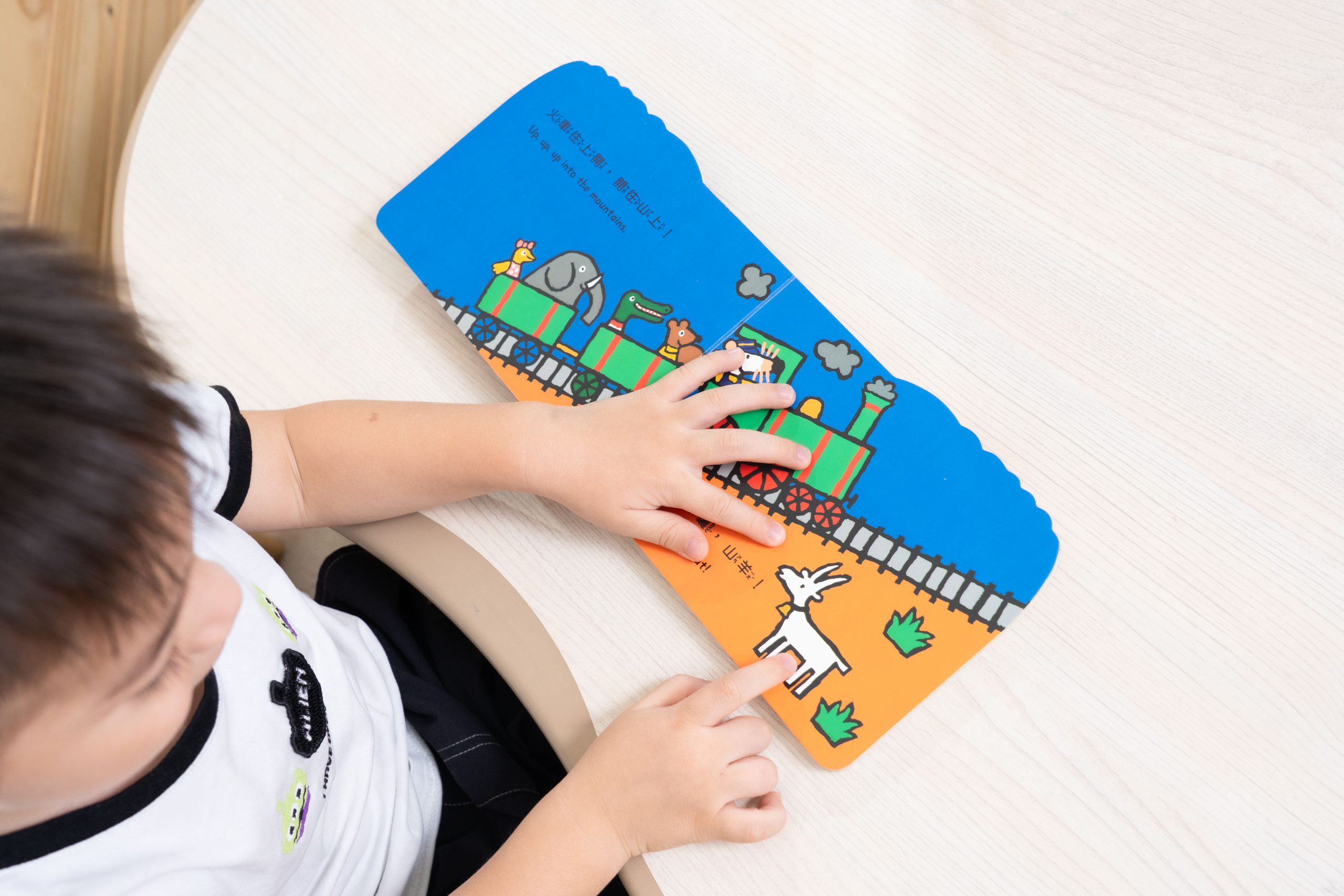 禾流文創童書團購【茜茜推薦|2-6歲+ 幼童探索篇(下)|情緒。生活。自主】2025下半年度最大團。獨家新品 禾流文創童書團購【茜茜推薦|2-6歲+ 幼童探索篇(下)|情緒。生活。自主】2025下半年度最大團。獨家新品