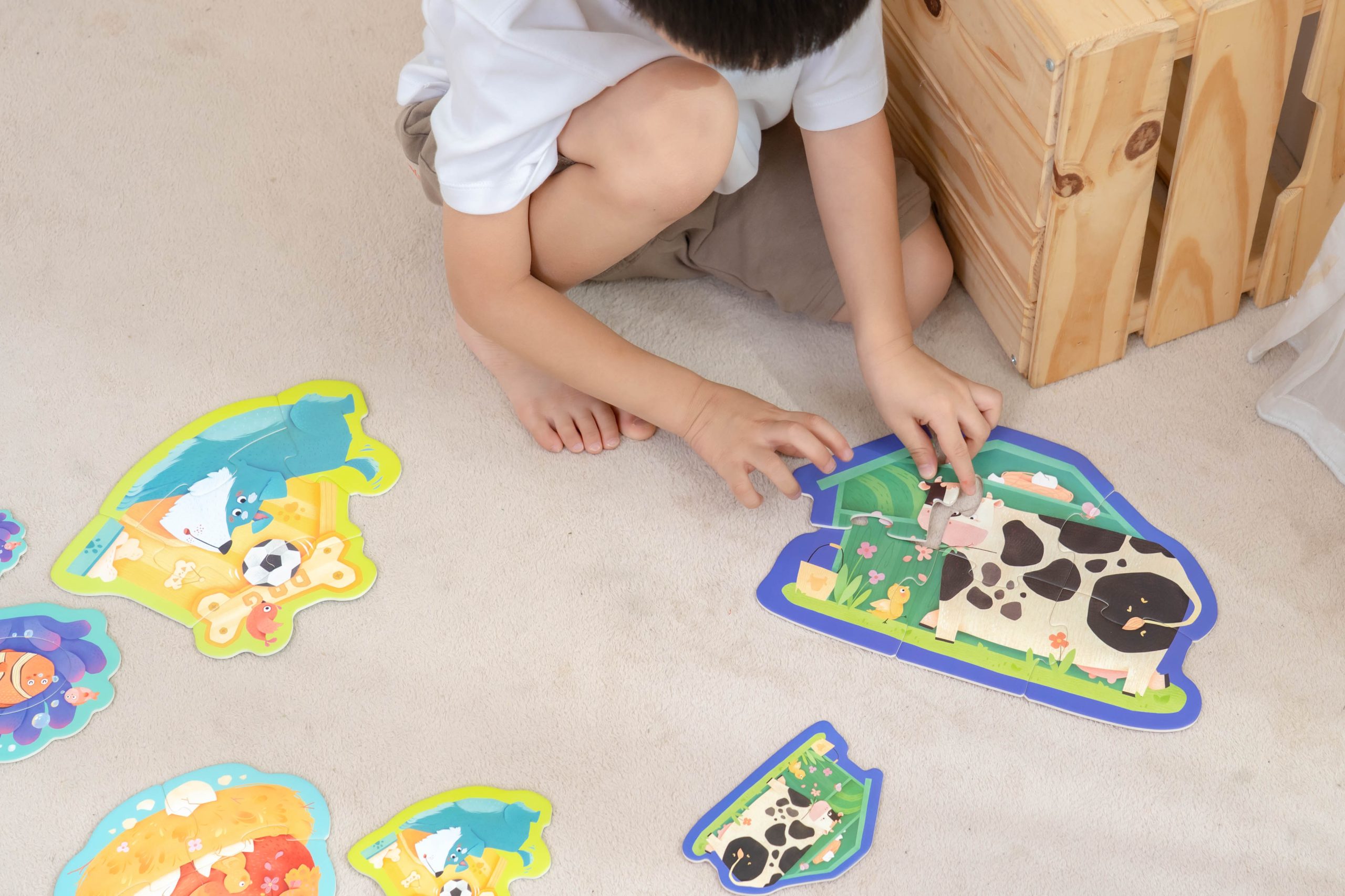 【MiDeer拼圖｜啟蒙式。主題式。進階式。有趣變化｜豐富寶寶的世界】2025秋季新品上市！