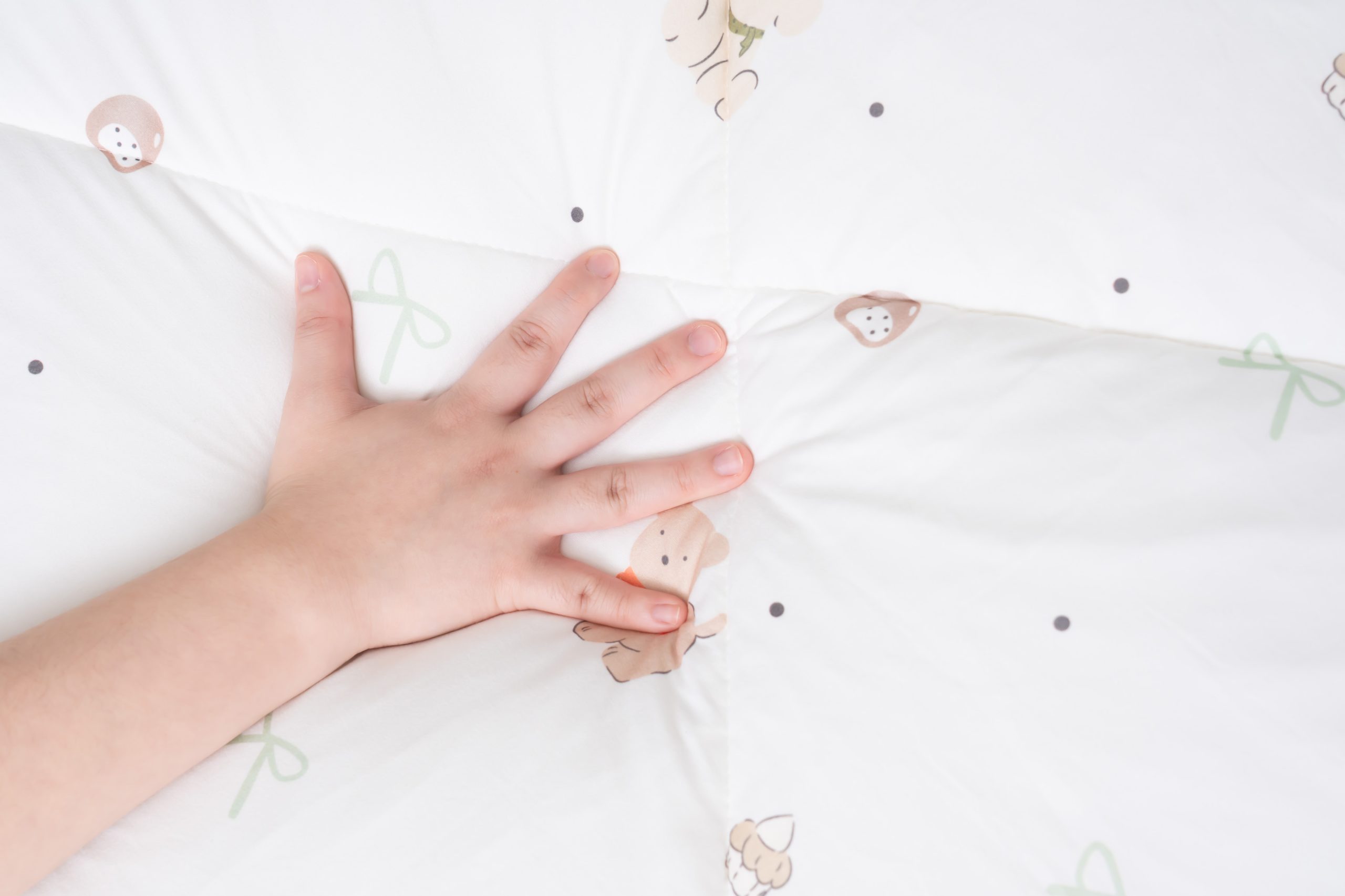 【給你柔柔嫩嫩一夜好眠｜伯尼寢具 頂級膠原蛋白60支天絲寢具+汪汪隊天絲兒童睡墊】茜茜質感好物團購