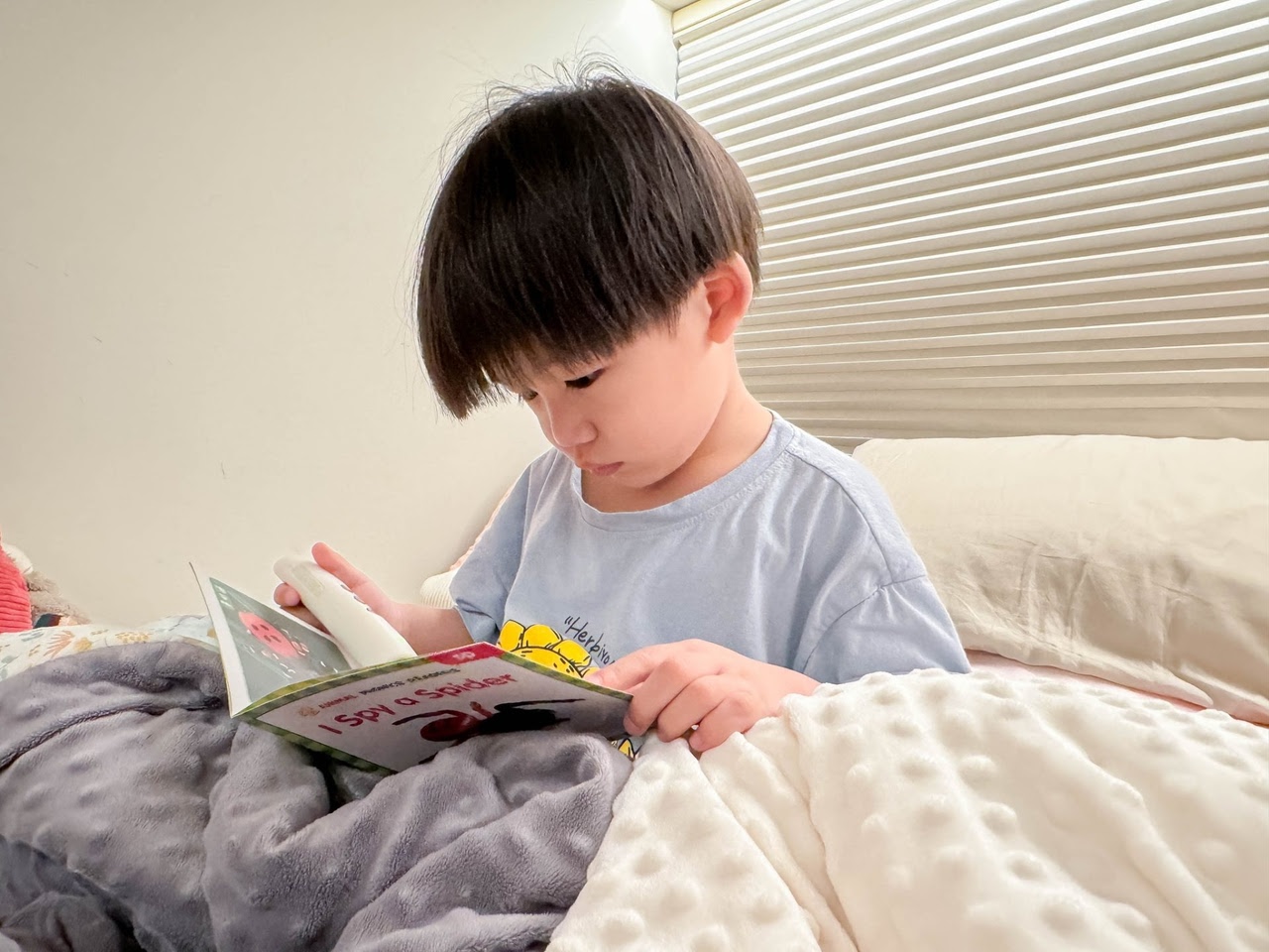 讓孩子愛上閱讀！【AR pedia虛實互動式英文繪本。中英發音】AR Words英語角色扮演+迪士尼互動繪本｜導讀電子書+茜茜延伸教材+學習單