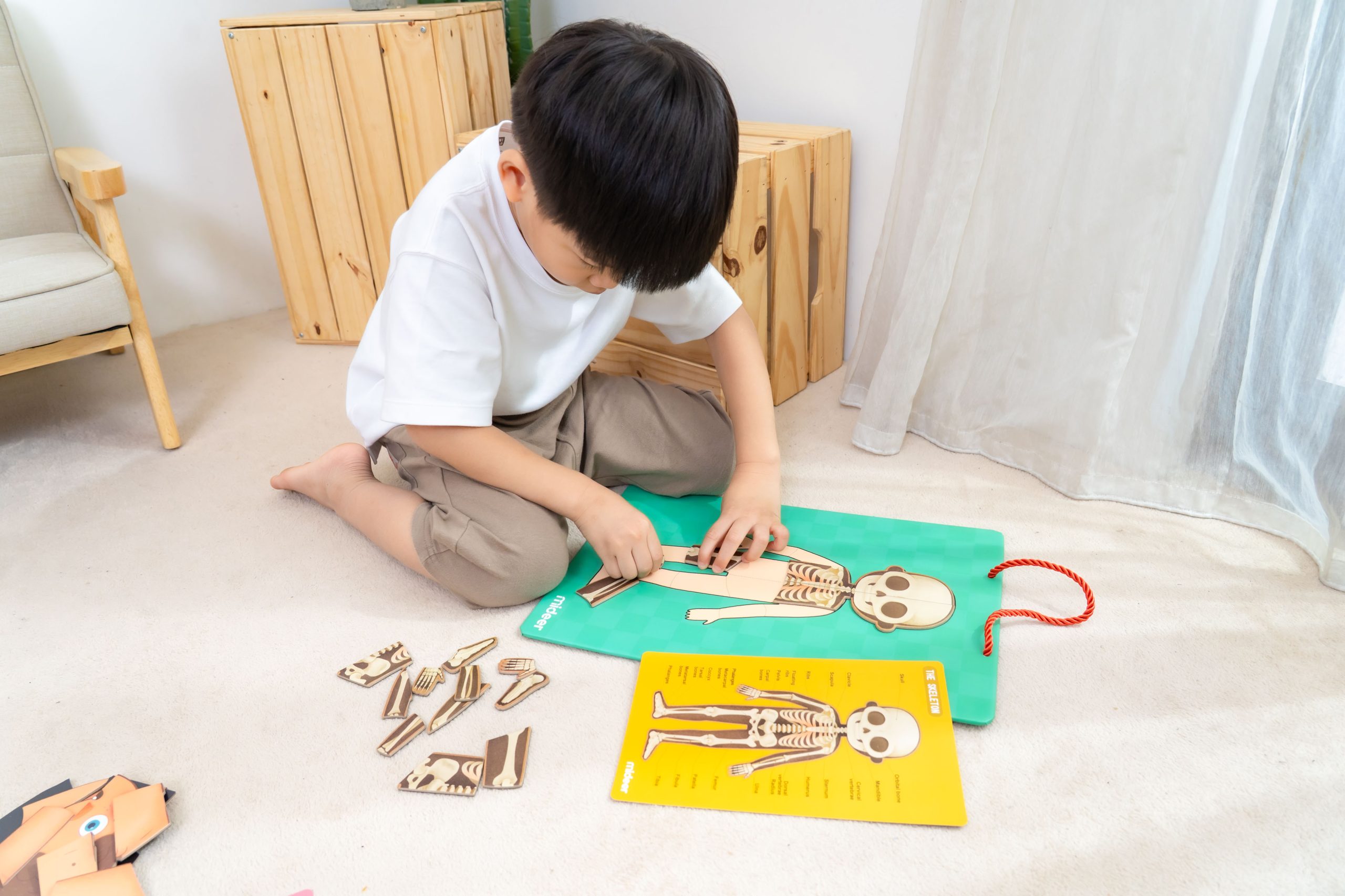 【MiDeer拼圖｜啟蒙式。主題式。進階式。有趣變化｜豐富寶寶的世界】2025秋季新品上市！