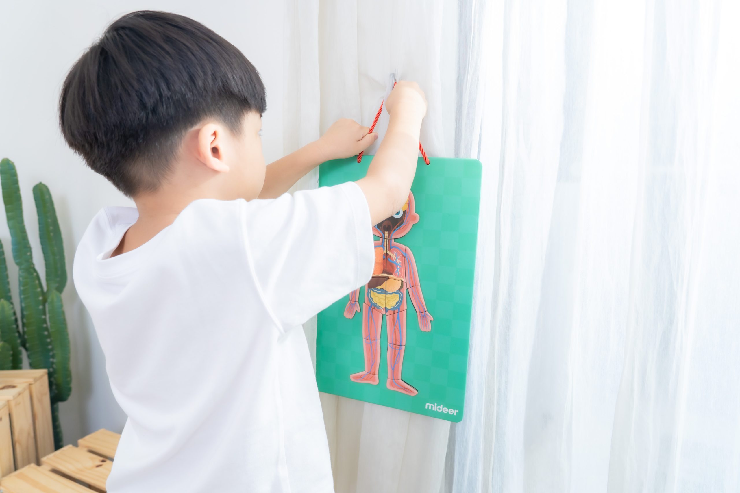 【MiDeer拼圖｜啟蒙式。主題式。進階式。有趣變化｜豐富寶寶的世界】2025秋季新品上市！