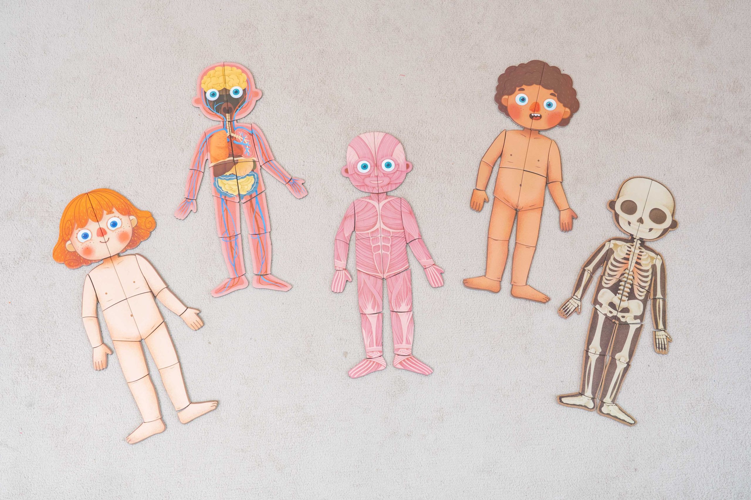 【MiDeer拼圖｜啟蒙式。主題式。進階式。有趣變化｜豐富寶寶的世界】2025秋季新品上市！