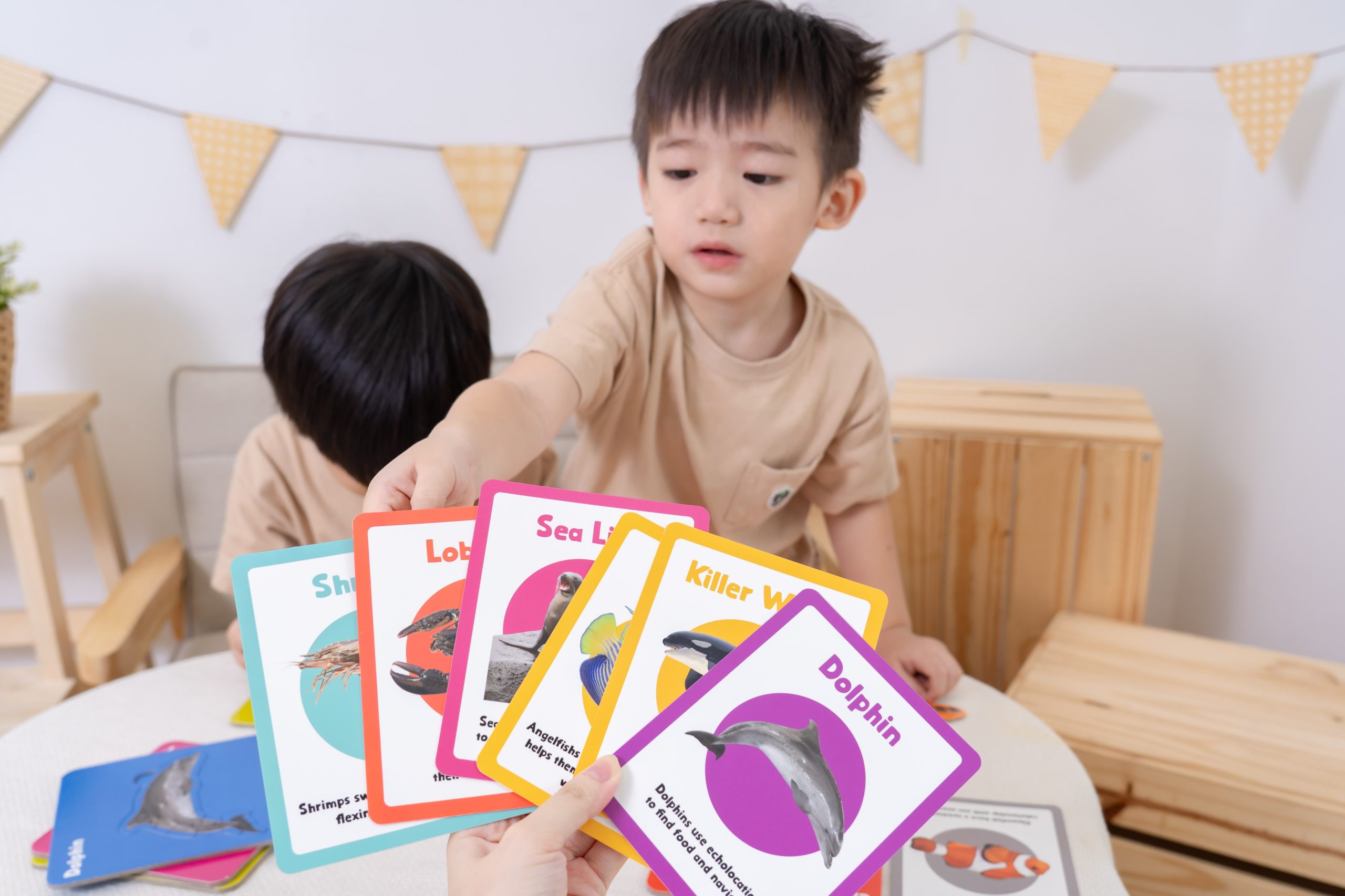 孩子玩得開心、學得更快！【Curios認知圖卡、配對拼圖、學習遊戲盒】茜茜獨家送音檔