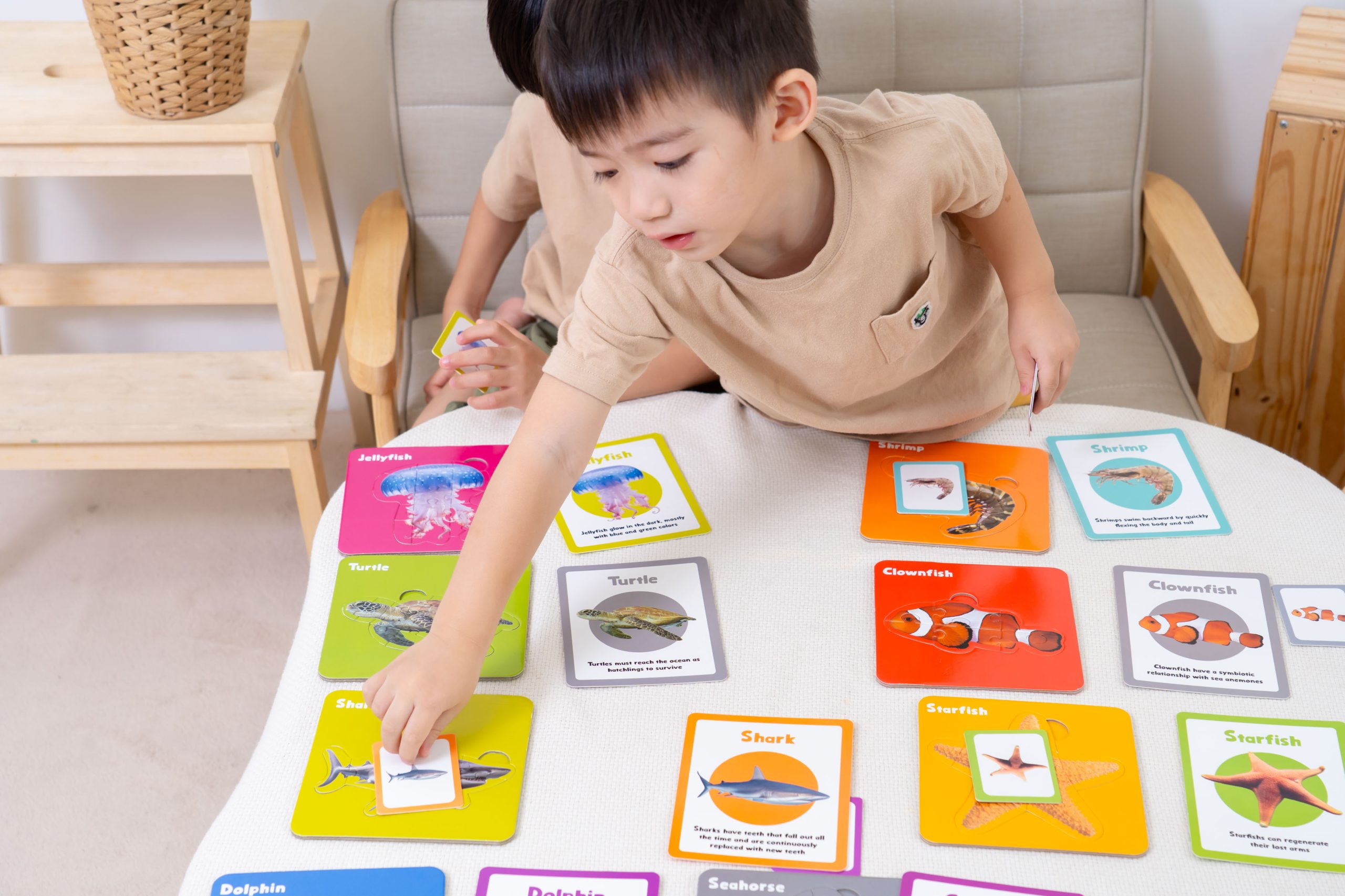 孩子玩得開心、學得更快！【Curios認知圖卡、配對拼圖、學習遊戲盒】茜茜獨家送音檔