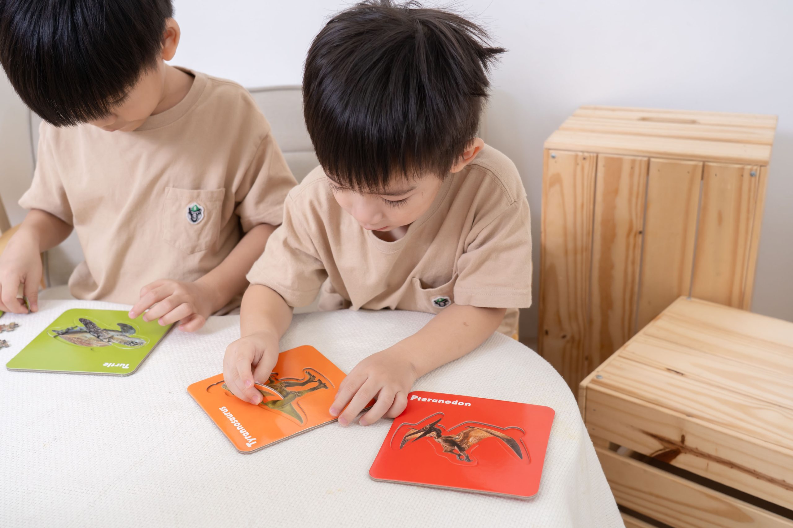 孩子玩得開心、學得更快！【Curios認知圖卡、配對拼圖、學習遊戲盒】茜茜獨家送音檔