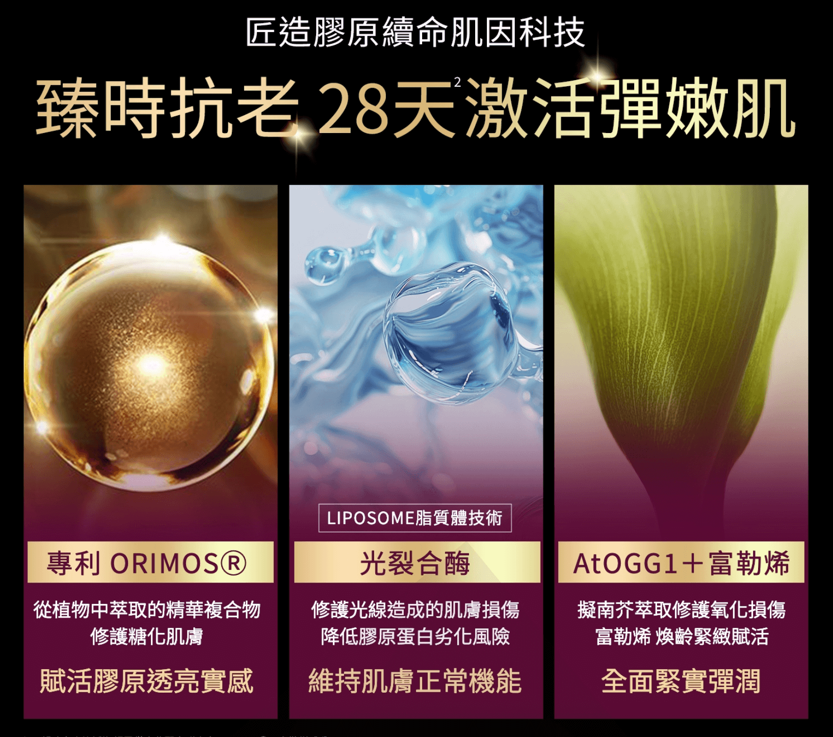 擺脫媽味+找回青春!【茜茜抗老三部曲:保濕抗糖、支撐力、立體度】日本COCOCHI+20BD+日本NIPPI+美國美膚儀 擺脫媽味+找回青春!【茜茜抗老三部曲:保濕抗糖、支撐力、立體度】日本COCOCHI+20BD+日本NIPPI+美國美膚儀