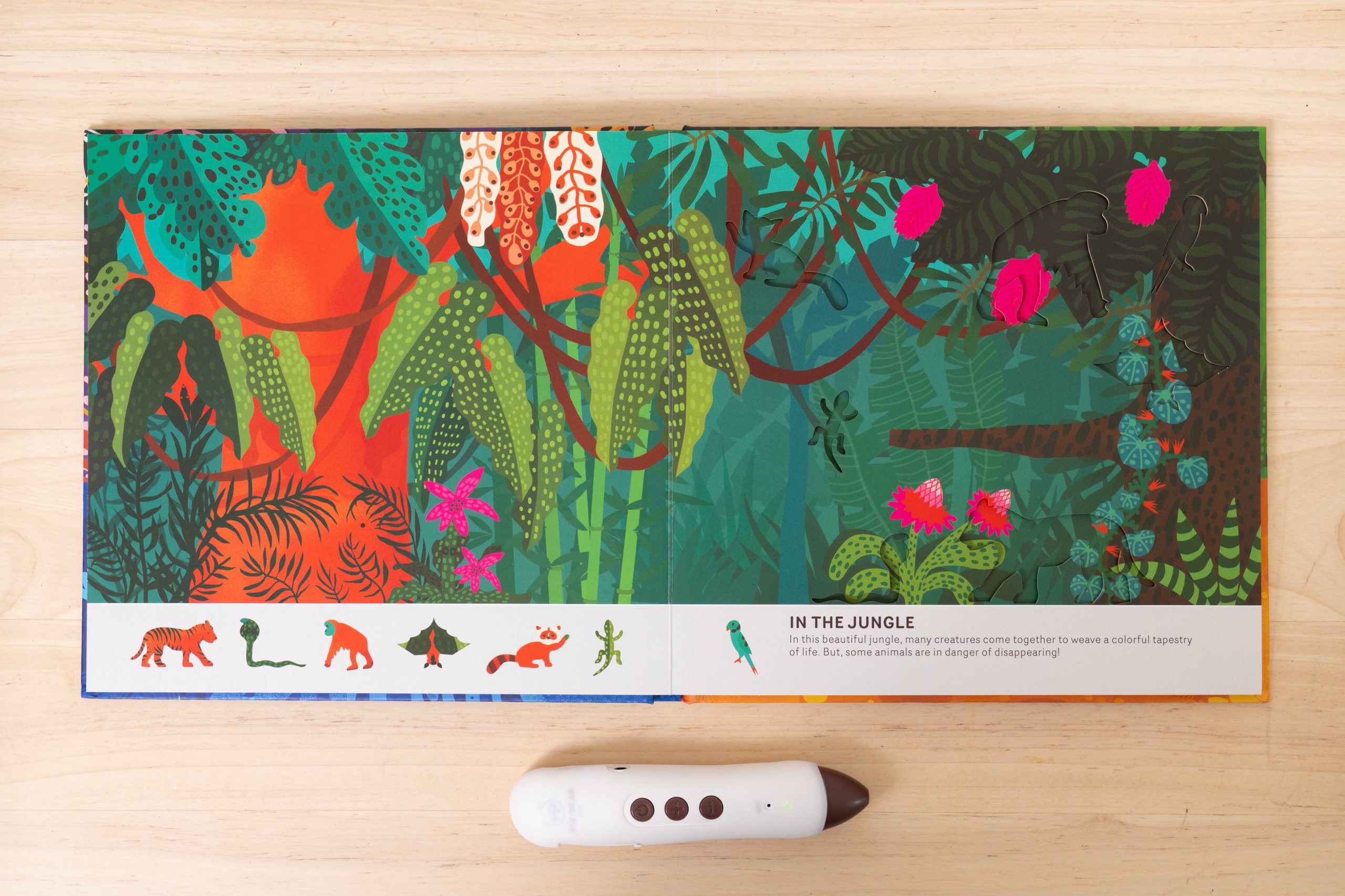 【KidsRead點讀筆x茜茜｜玩樂無痛學語言｜幼兒英文篇。遊戲唱跳系列】