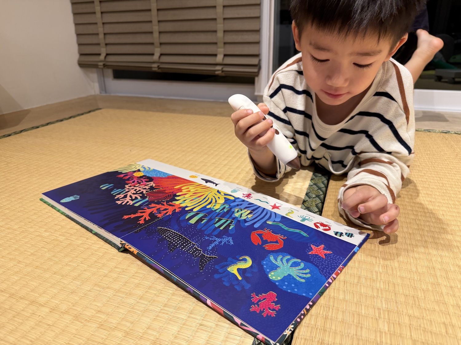 【KidsRead點讀筆x茜茜｜玩樂無痛學語言｜幼兒英文篇。遊戲唱跳系列】