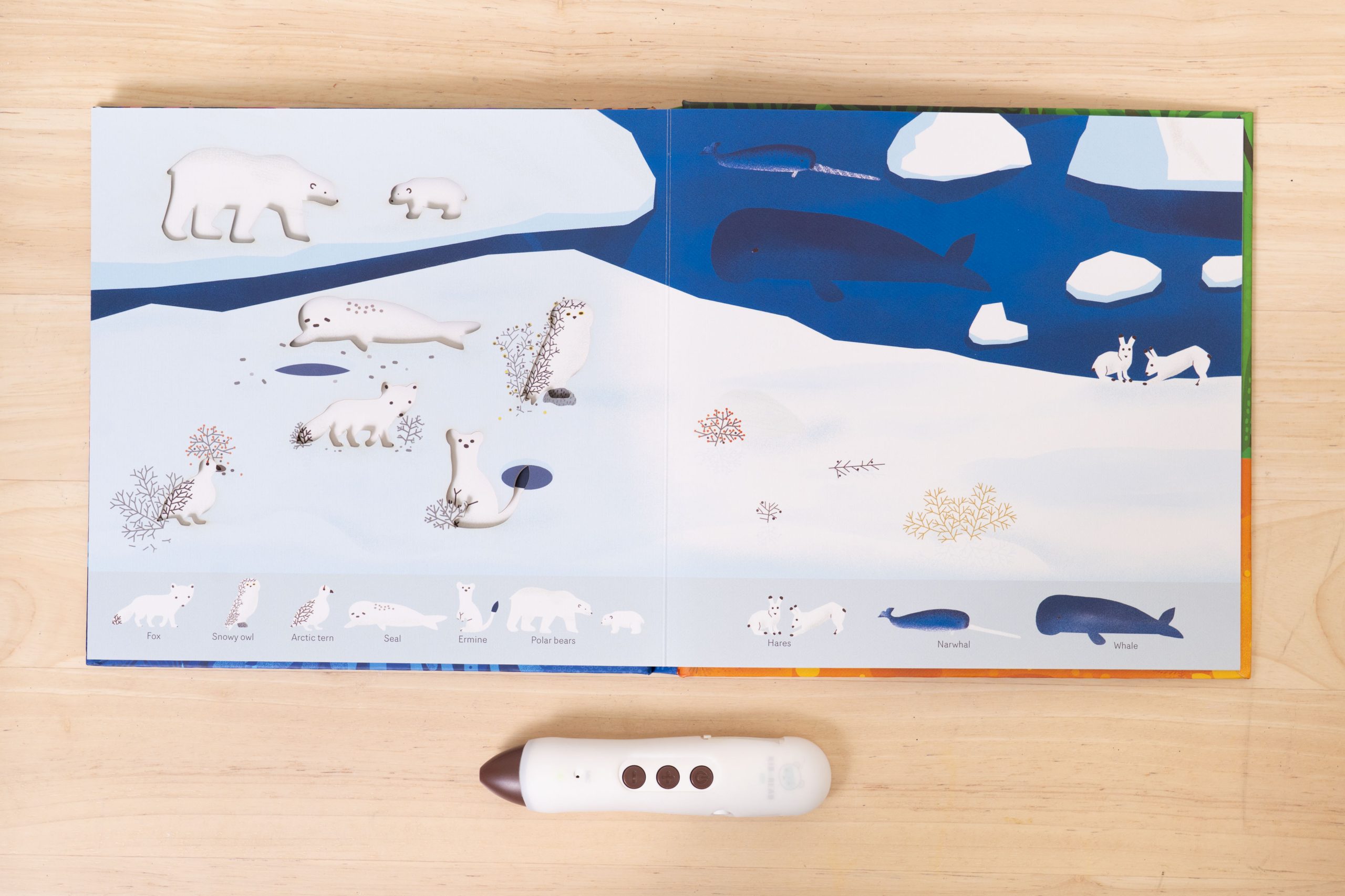 【KidsRead點讀筆x茜茜｜玩樂無痛學語言｜幼兒英文篇。遊戲唱跳系列】