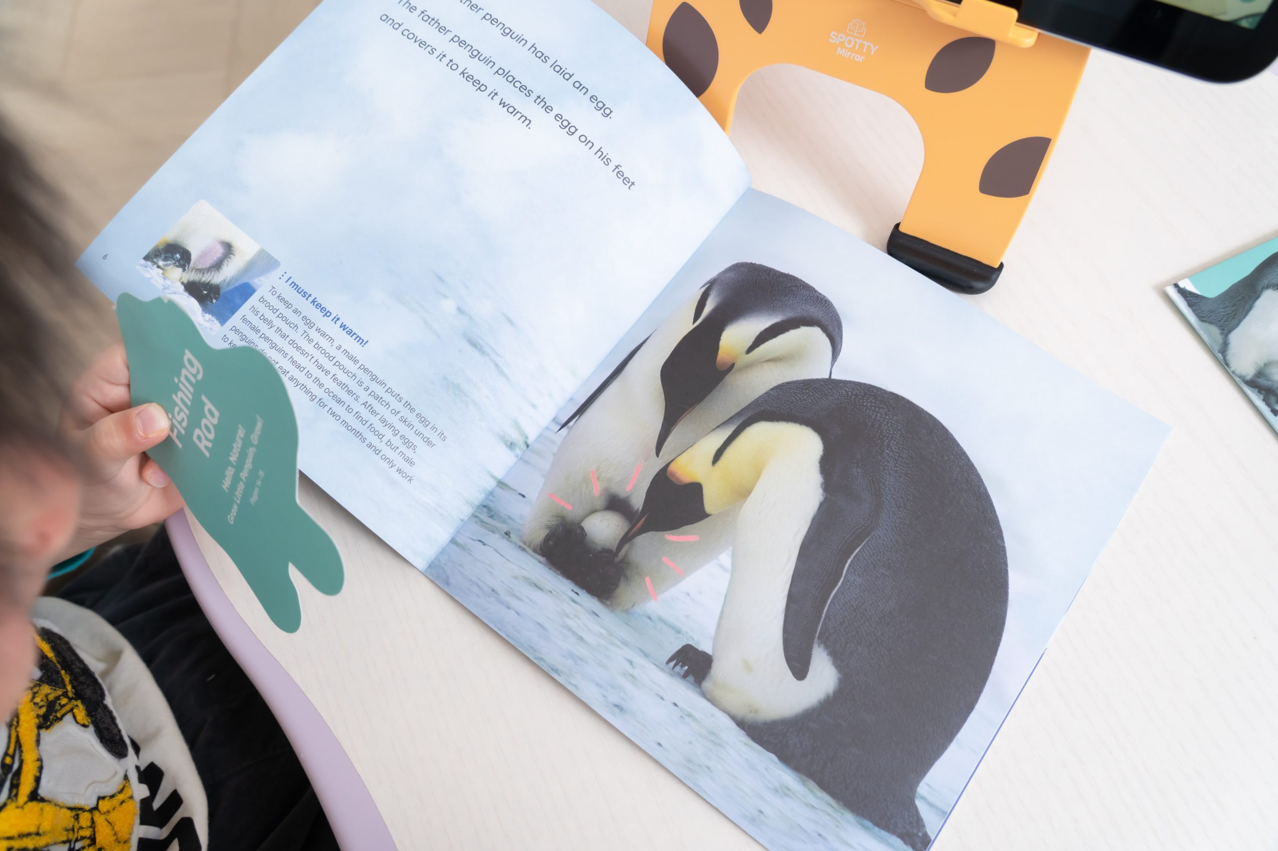 把閱讀變成孩子的主動選擇！【AR pedia虛實互動式英文繪本。中英發音】In to C社會+In to Q好奇+Science自然科普｜導讀電子書+茜茜延伸教材+學習單～茜茜團購