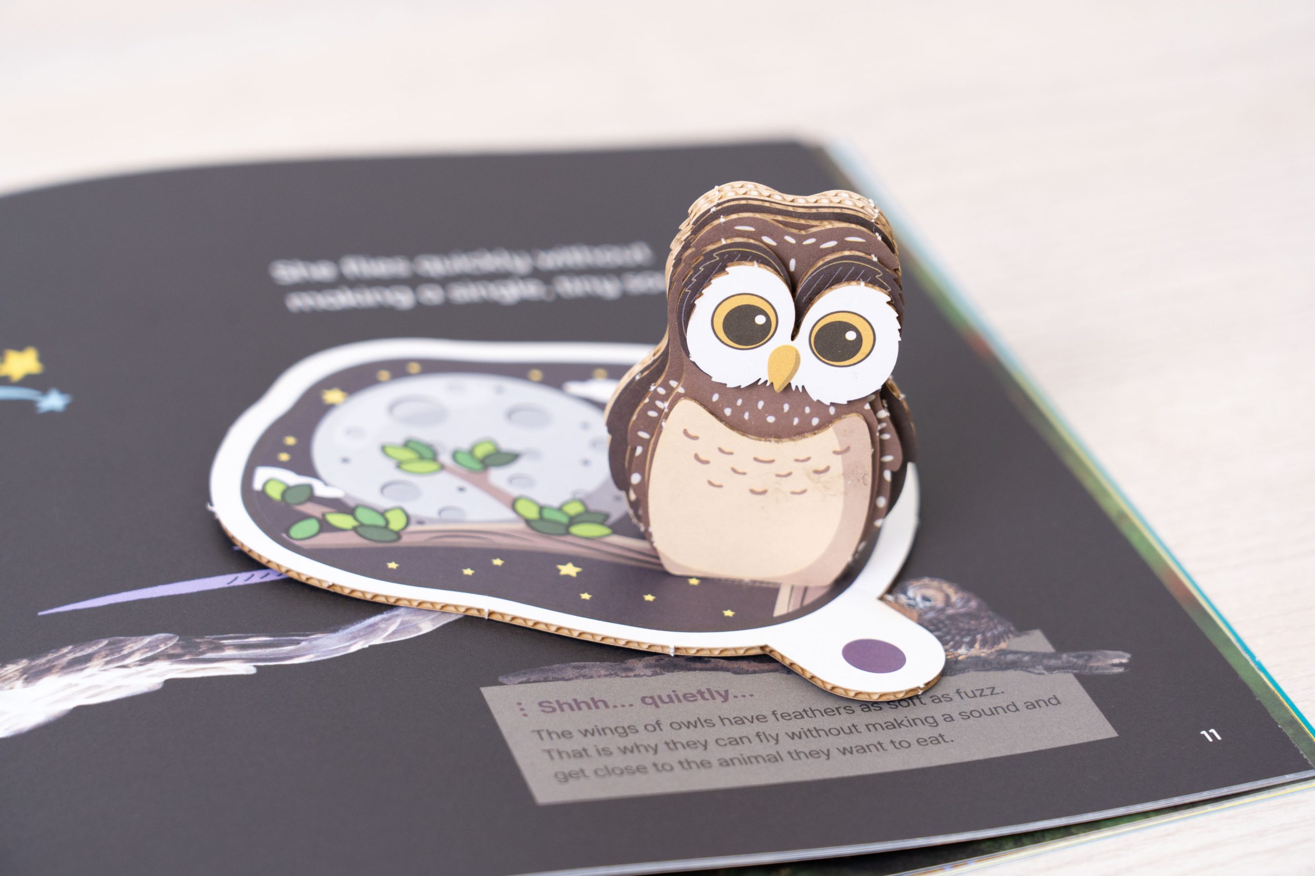 把閱讀變成孩子的主動選擇！【AR pedia虛實互動式英文繪本。中英發音】In to C社會+In to Q好奇+Science自然科普｜導讀電子書+茜茜延伸教材+學習單～茜茜團購