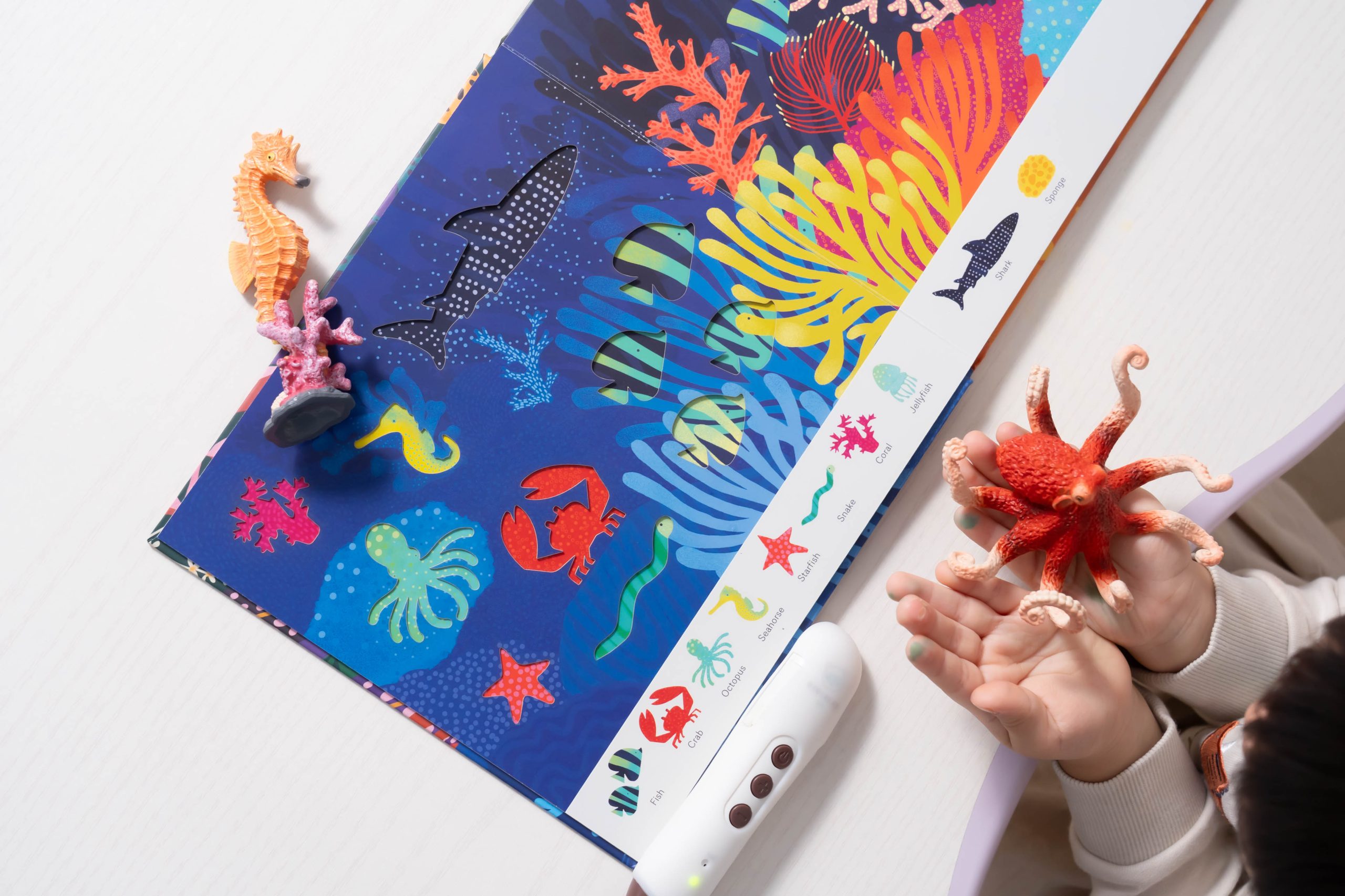 【KidsRead點讀筆x茜茜｜玩樂無痛學語言｜幼兒英文篇。遊戲唱跳系列】